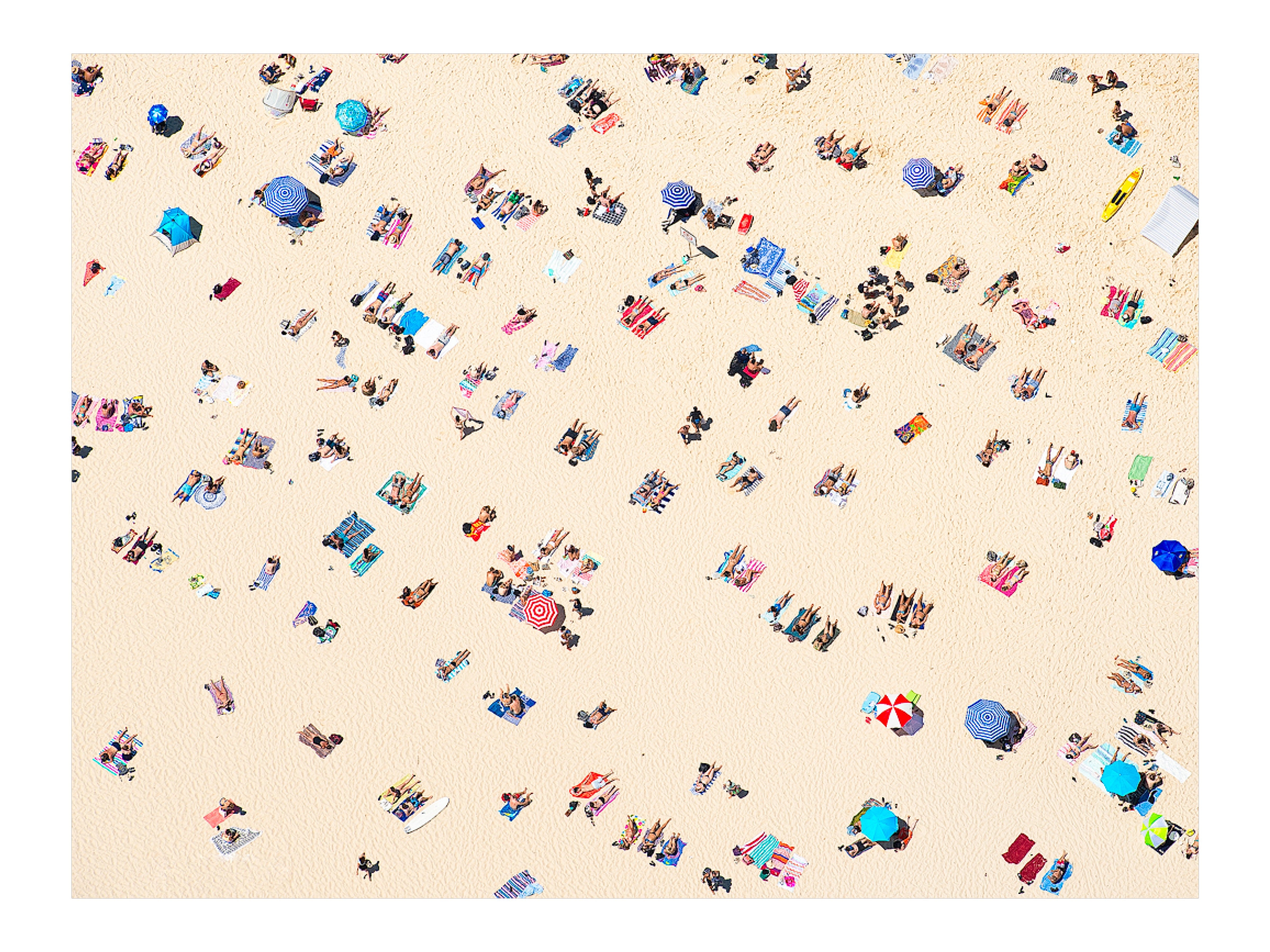 Bakers, Bondi Beach print
