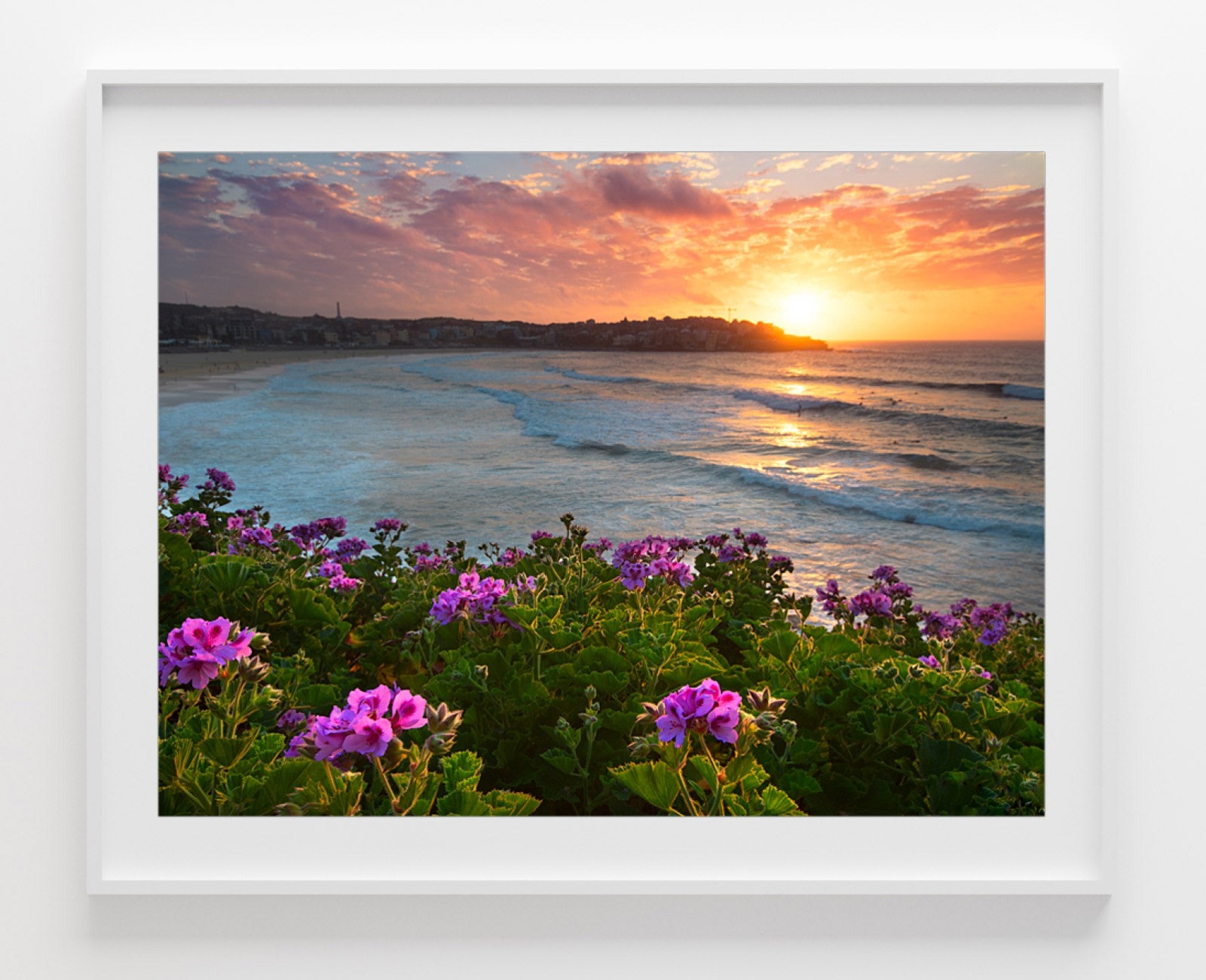 Bloom, Bondi Beach print