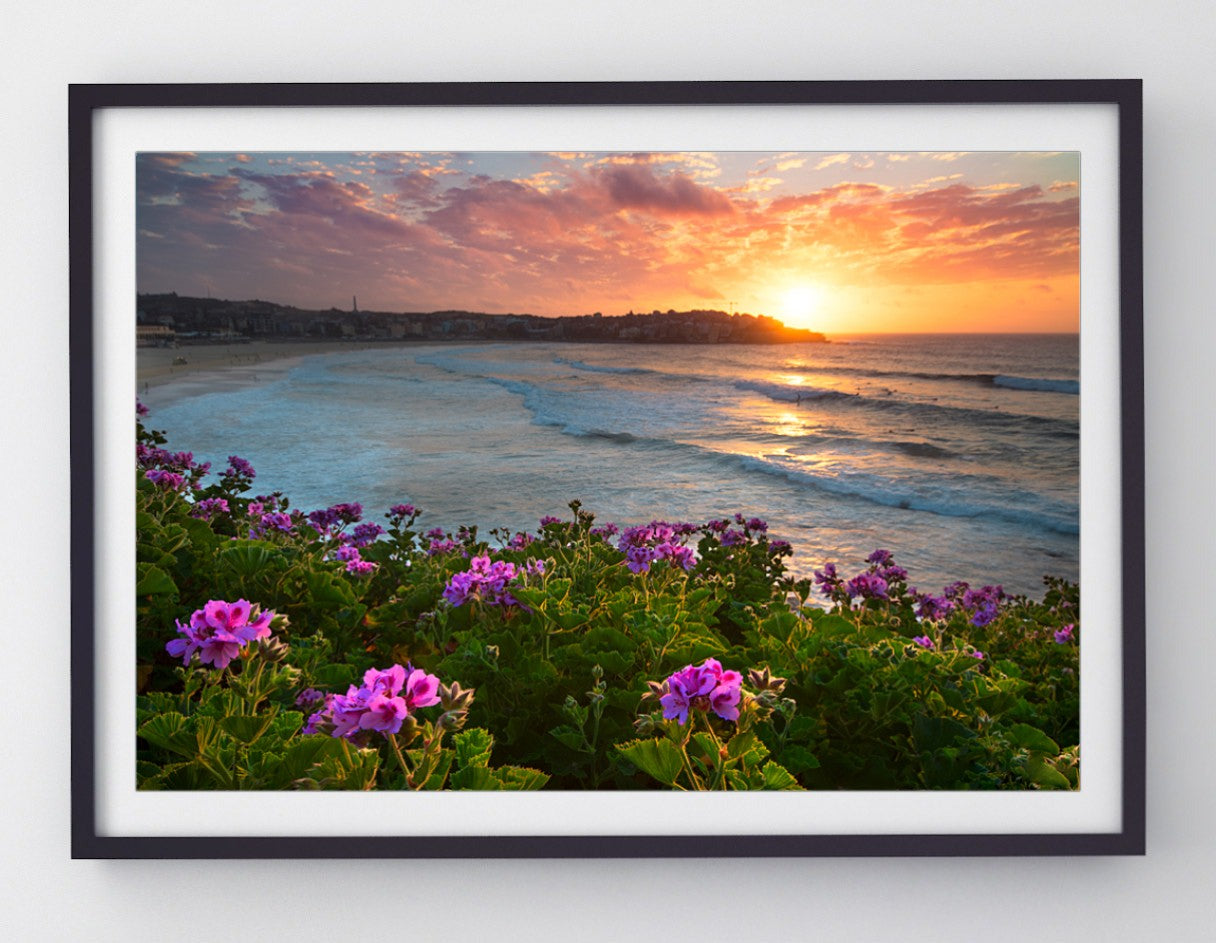 Bloom, Bondi Beach print