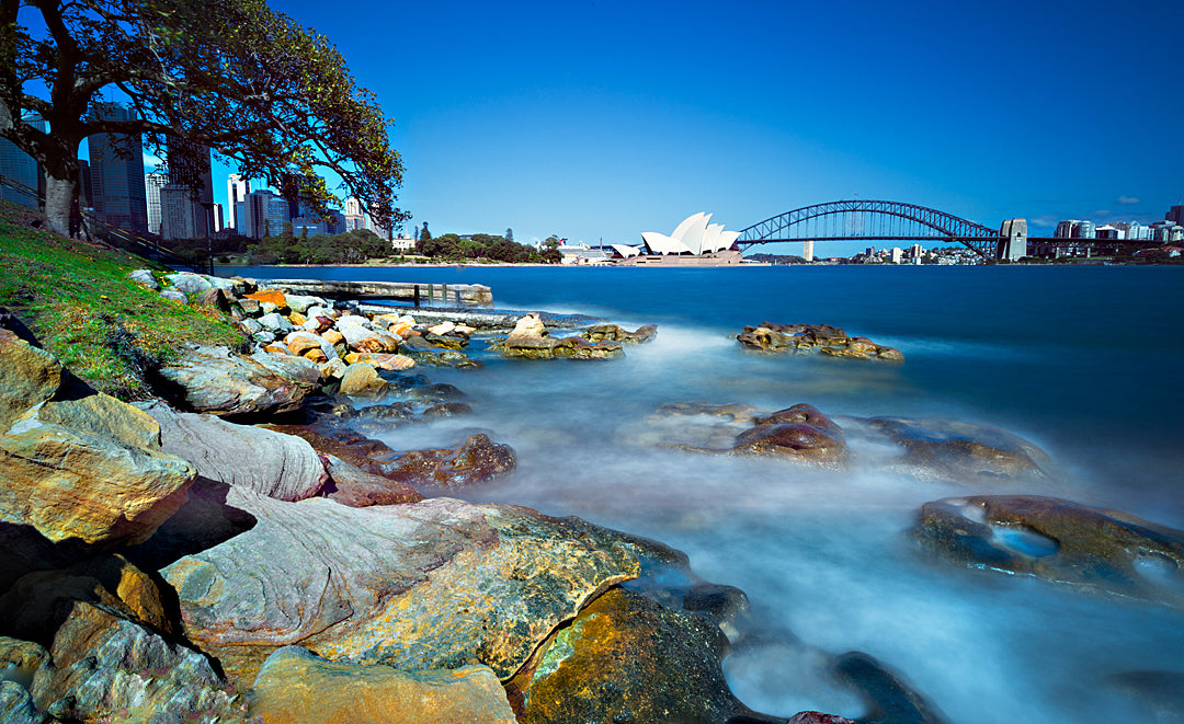 Blue Blue, Sydney Harbour