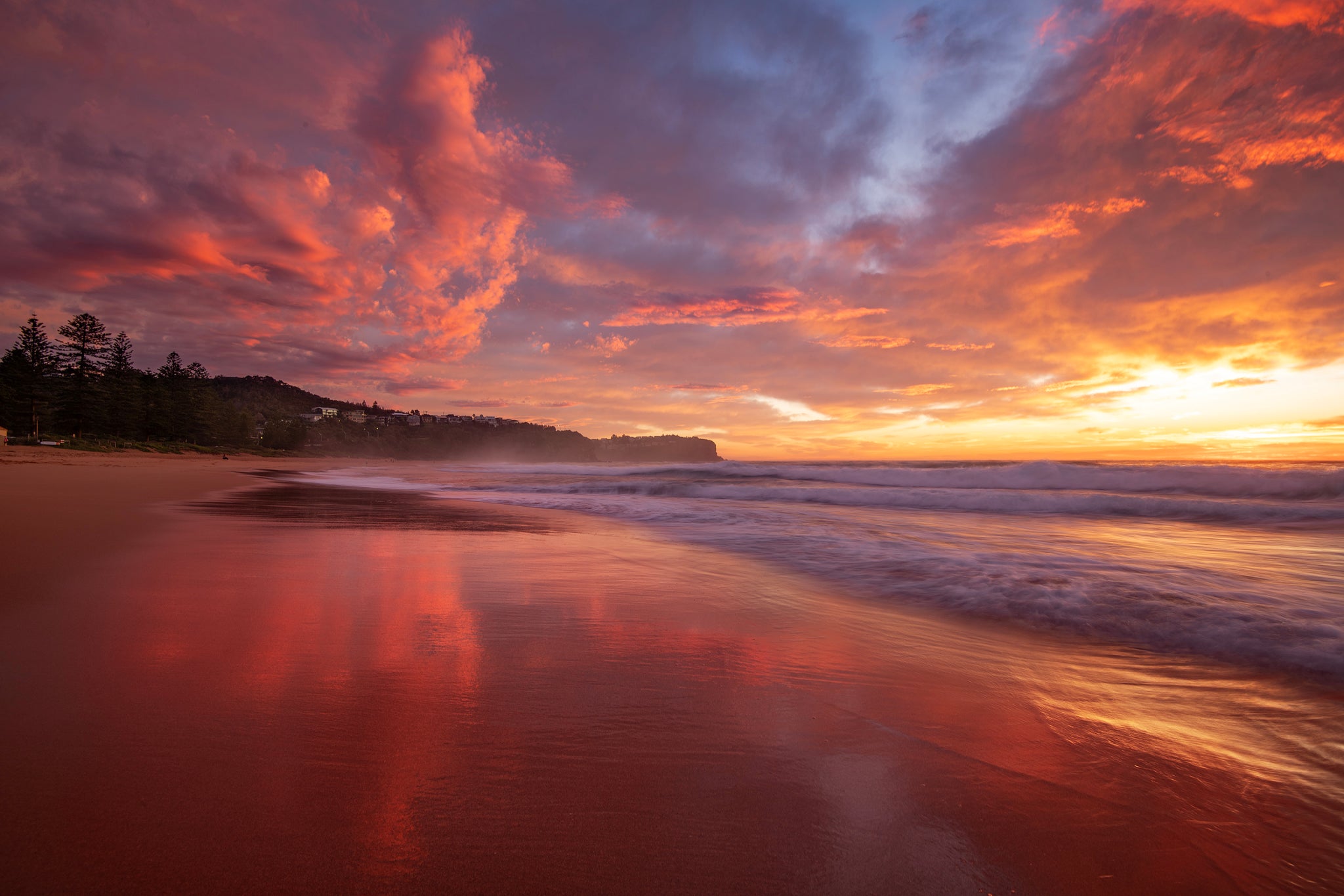 Blush, Newport