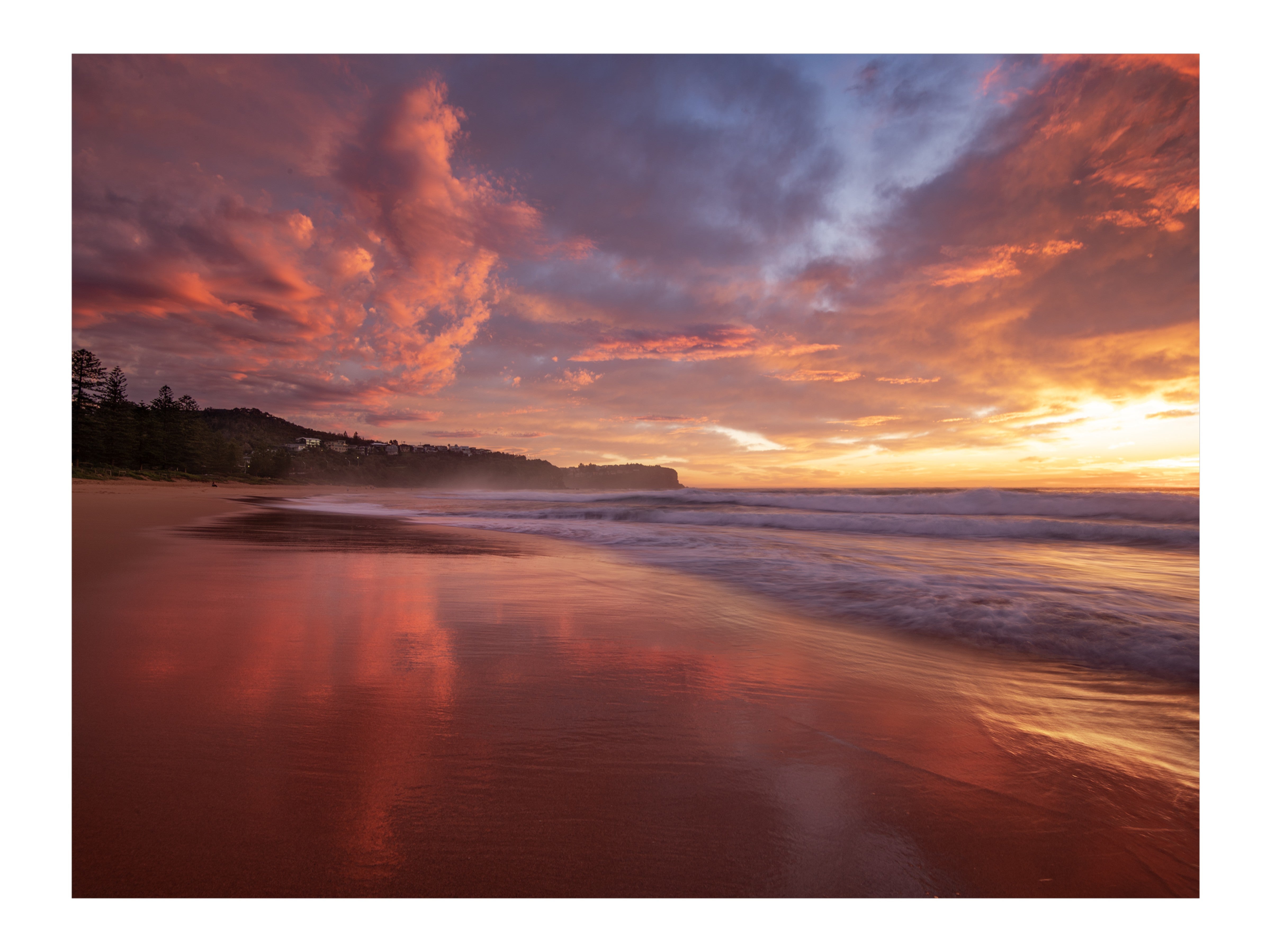 Blush, Newport print