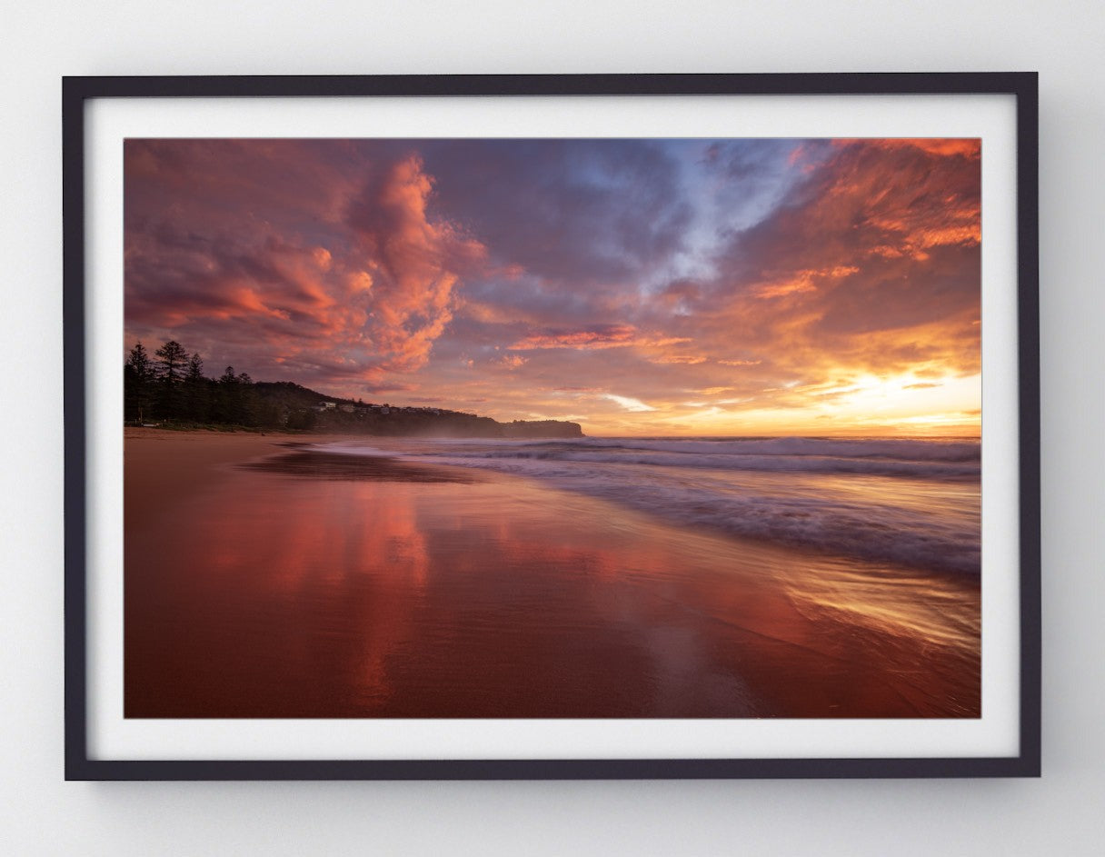 Blush, Newport print