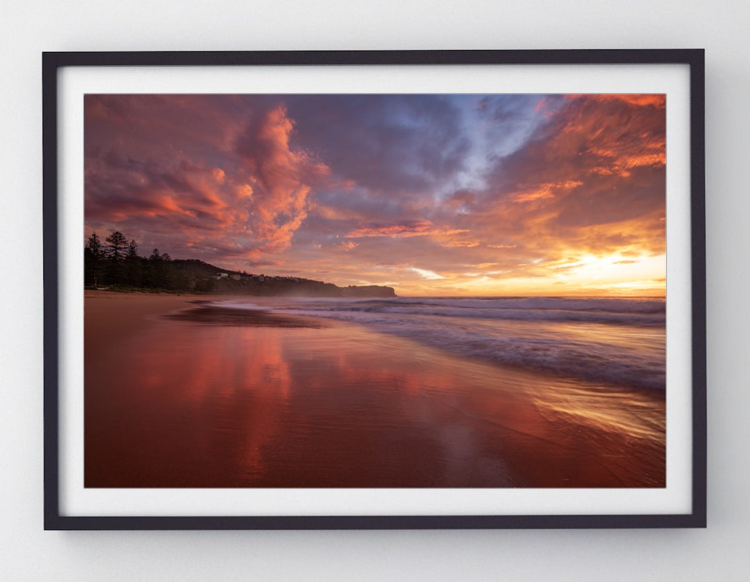Blush, Newport print
