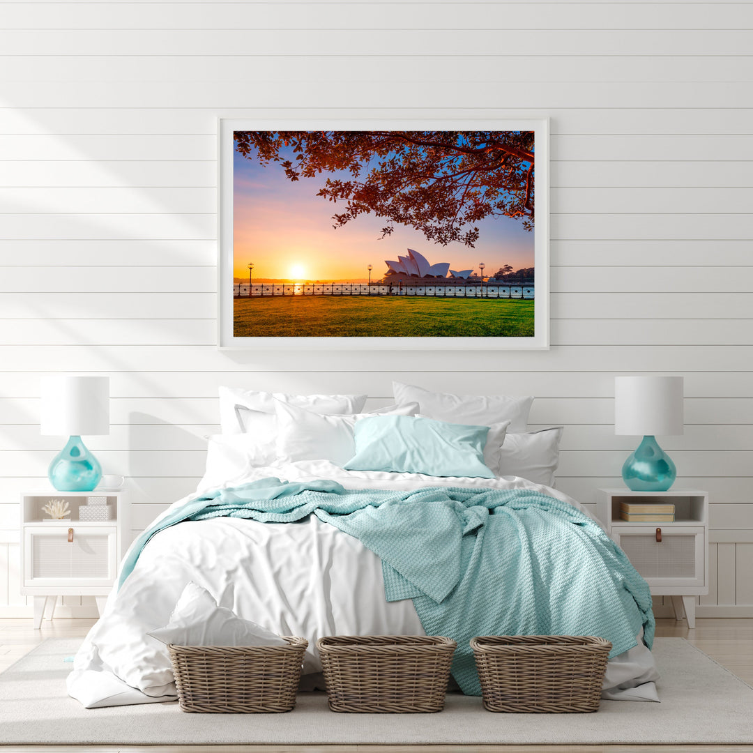 Branching Out, Sydney Harbour print