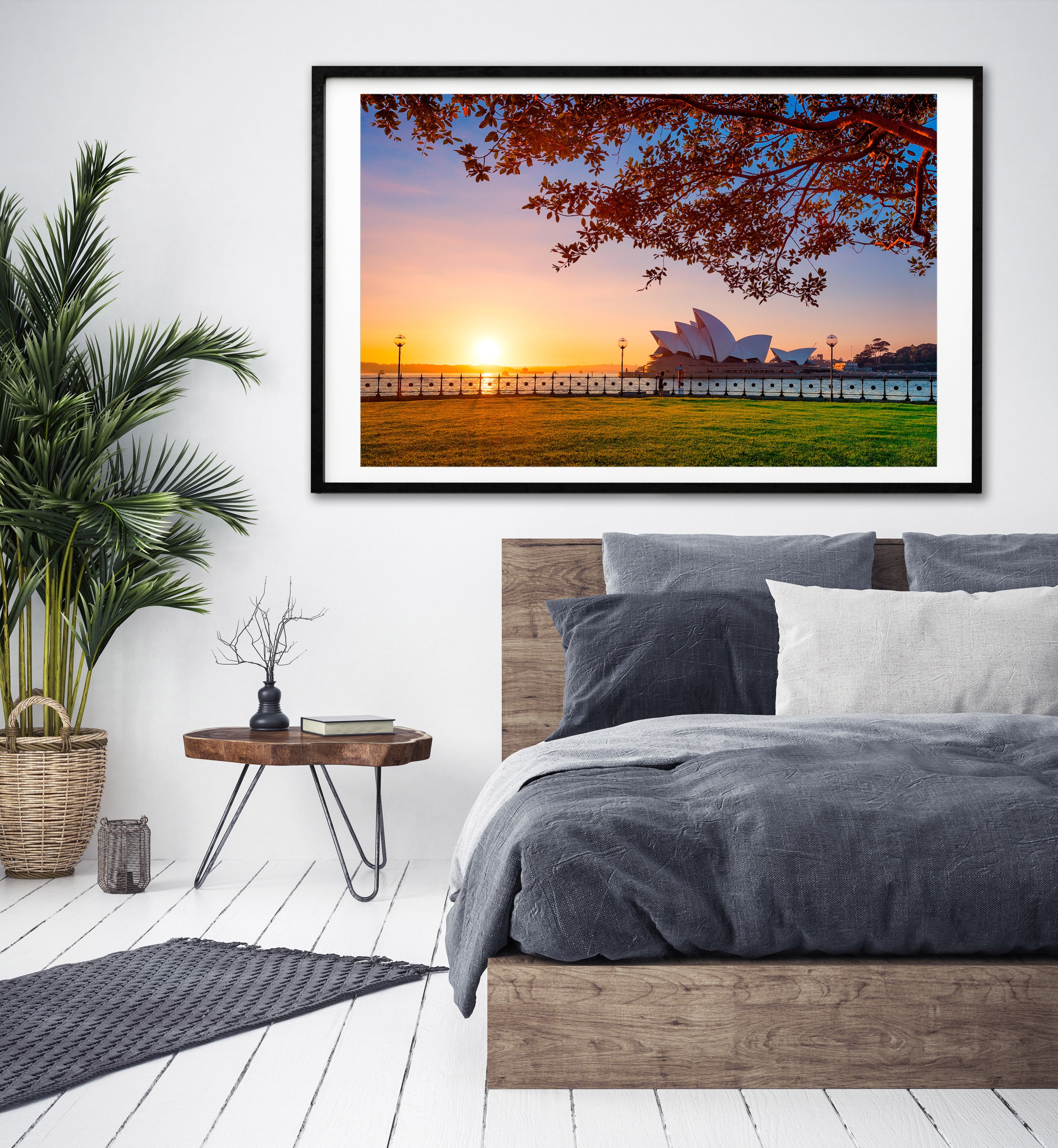 Branching Out, Sydney Harbour print