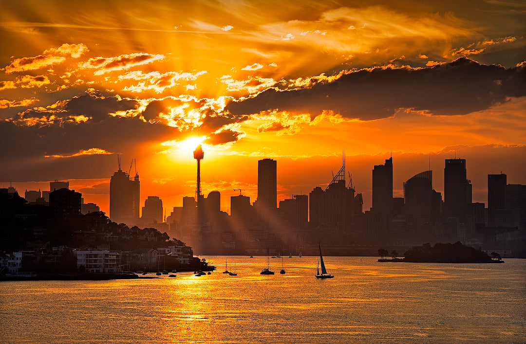 Candle, Sydney Harbour