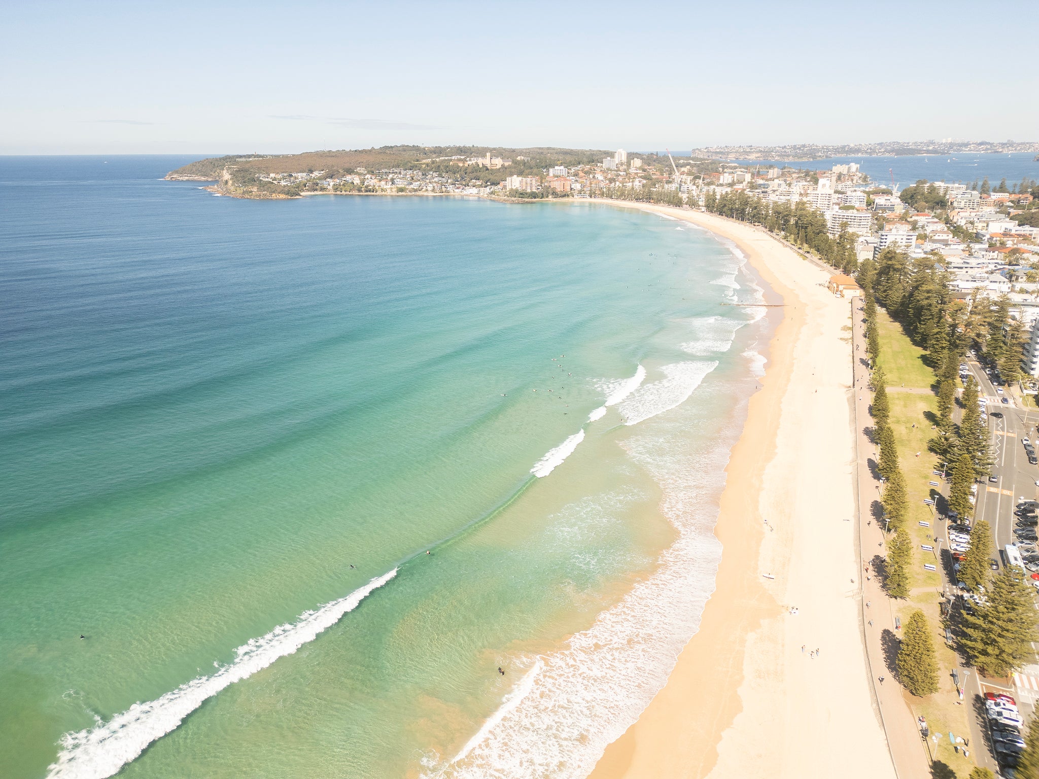 Clarity, Manly