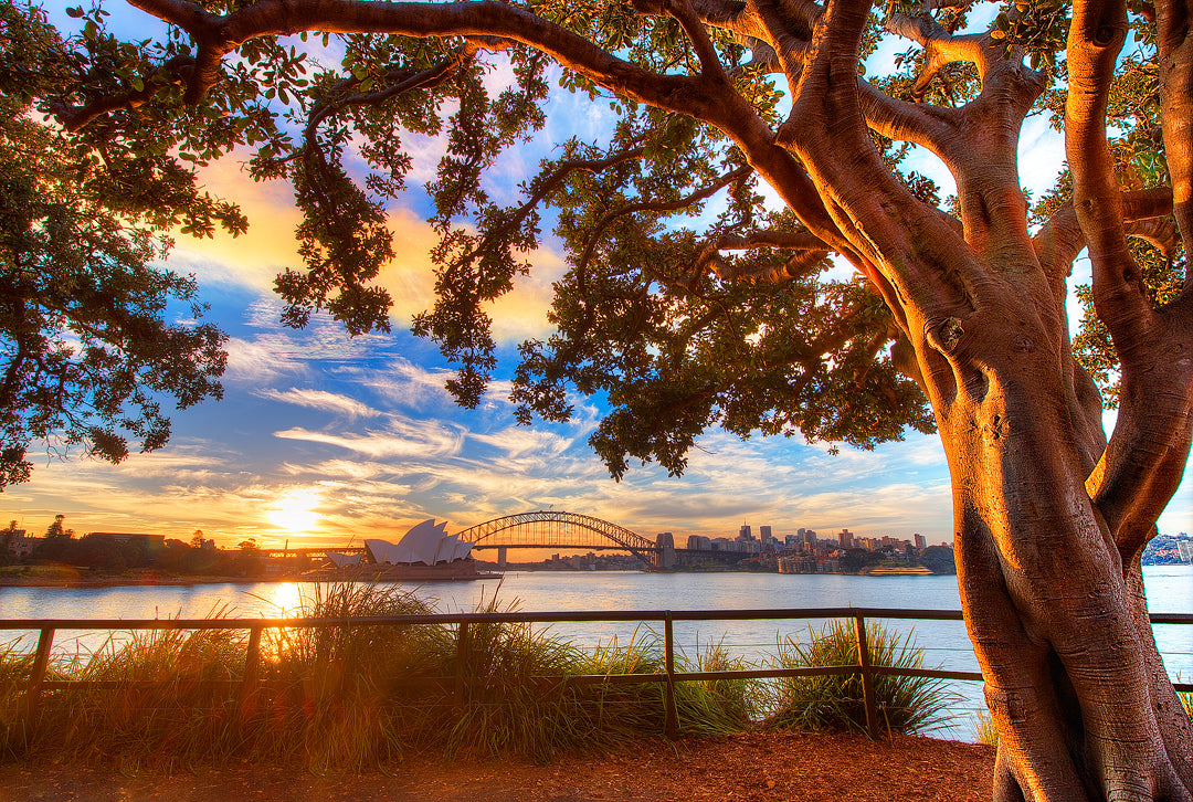 Days End, Sydney Harbour