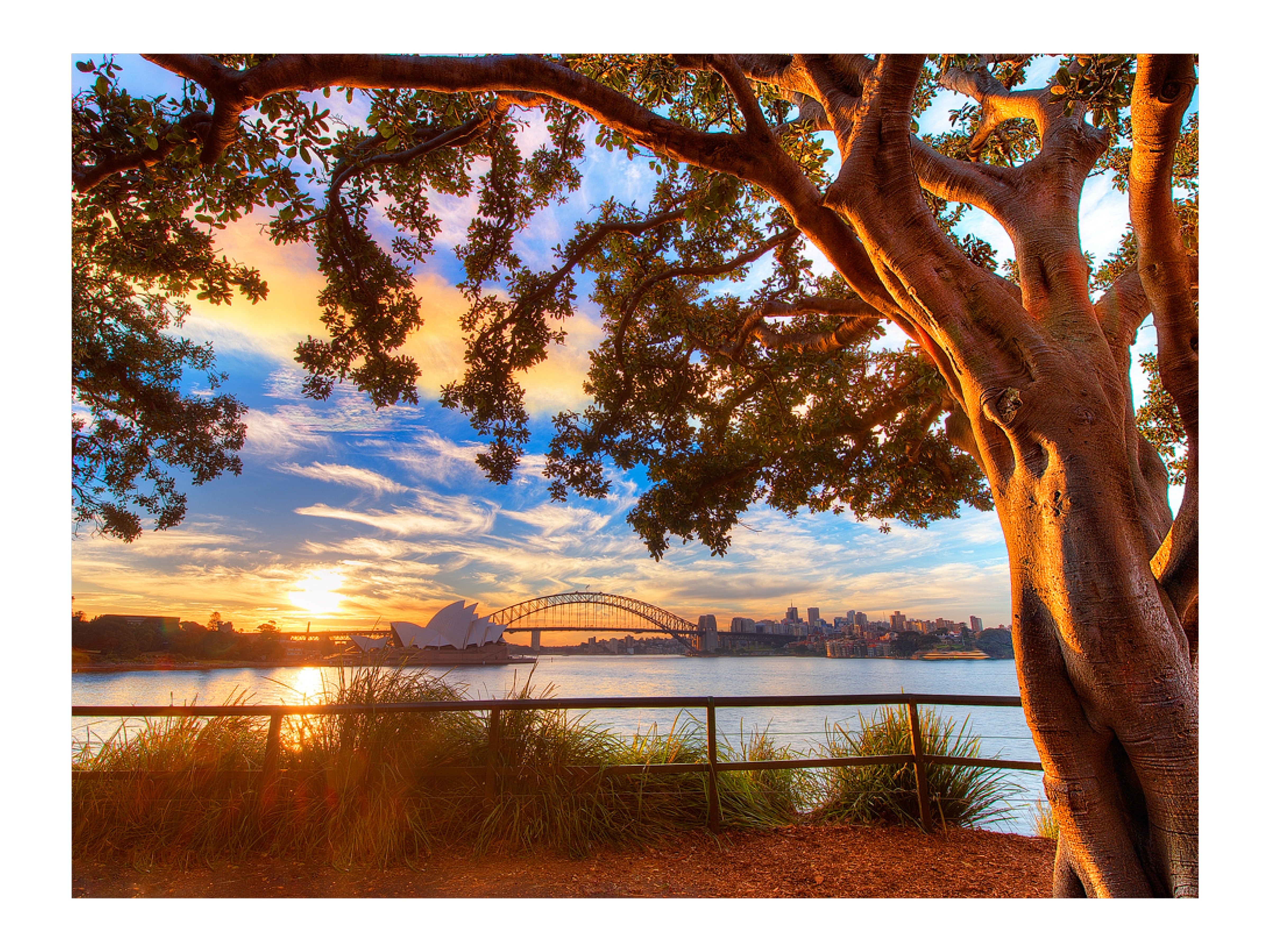 Days End, Sydney Harbour print