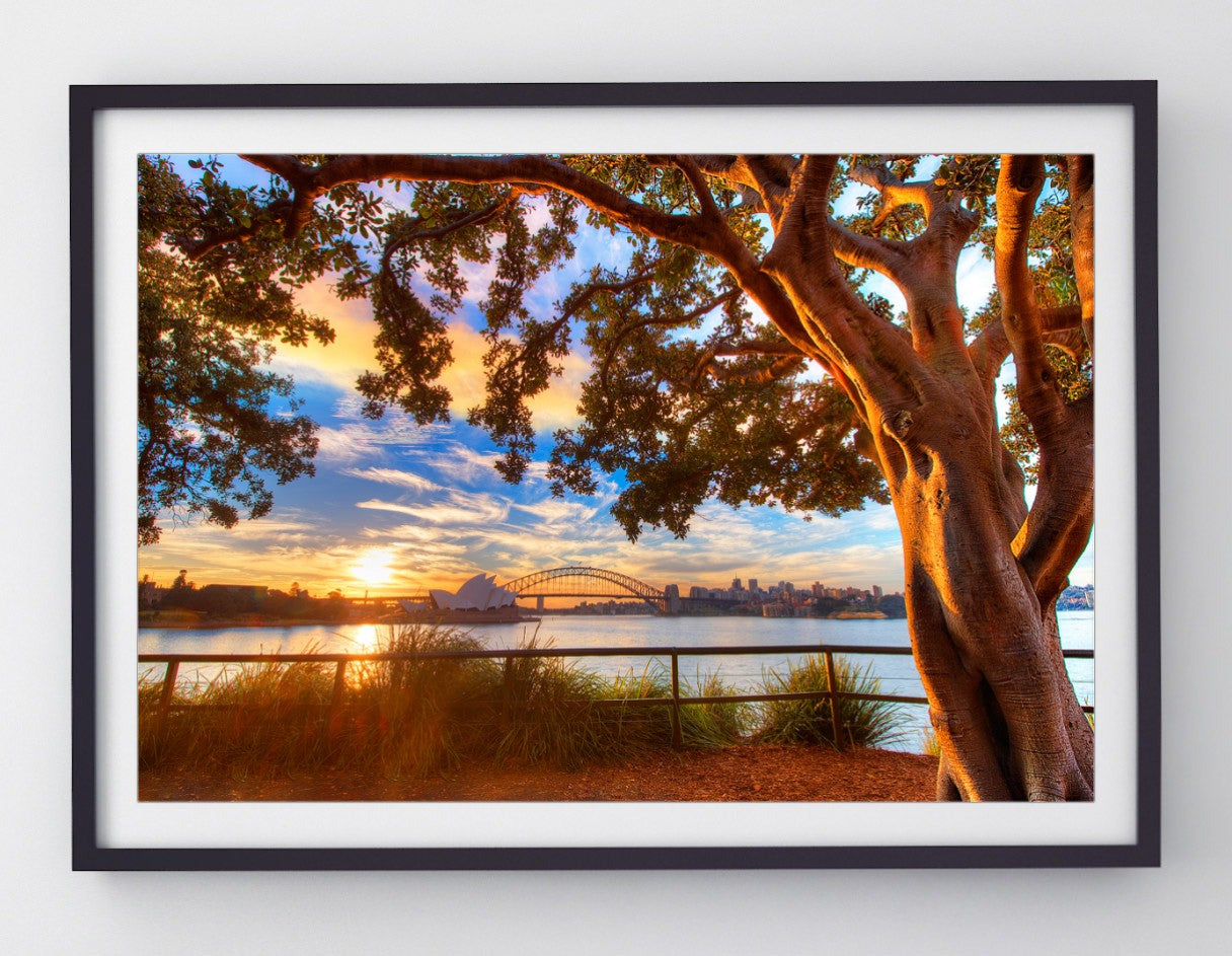 Days End, Sydney Harbour print