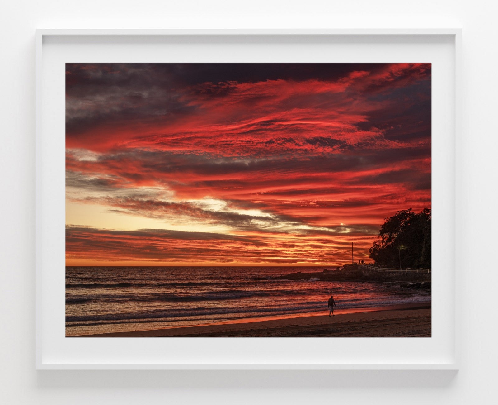 Delight, Manly print