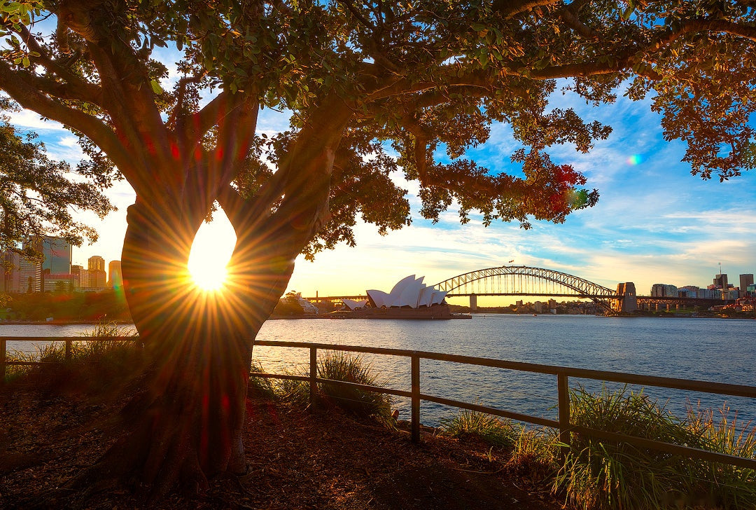 Eye, Sydney Harbour, fine art photograph by Richard Hirst