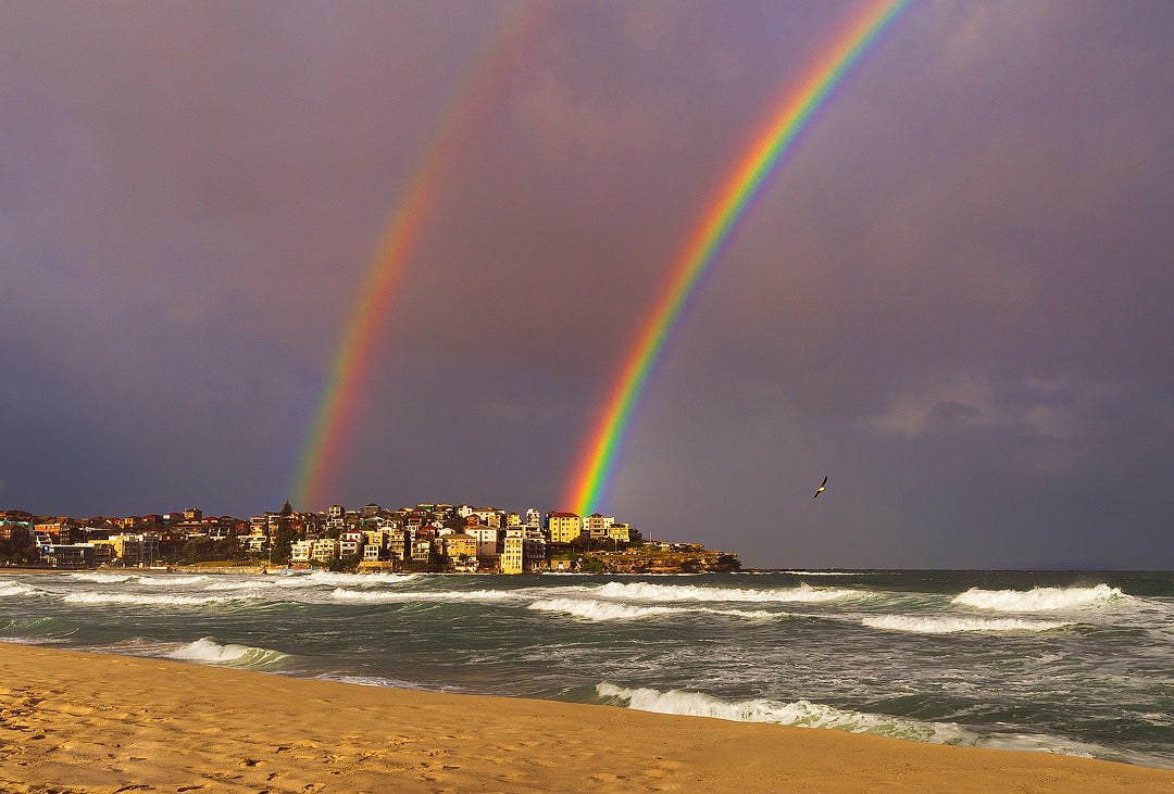Flying By, Bondi Beach Beach print