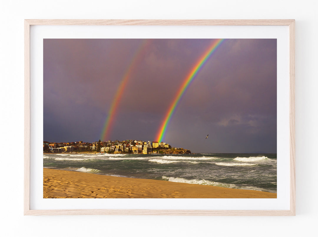 Flying By, Bondi Beach print