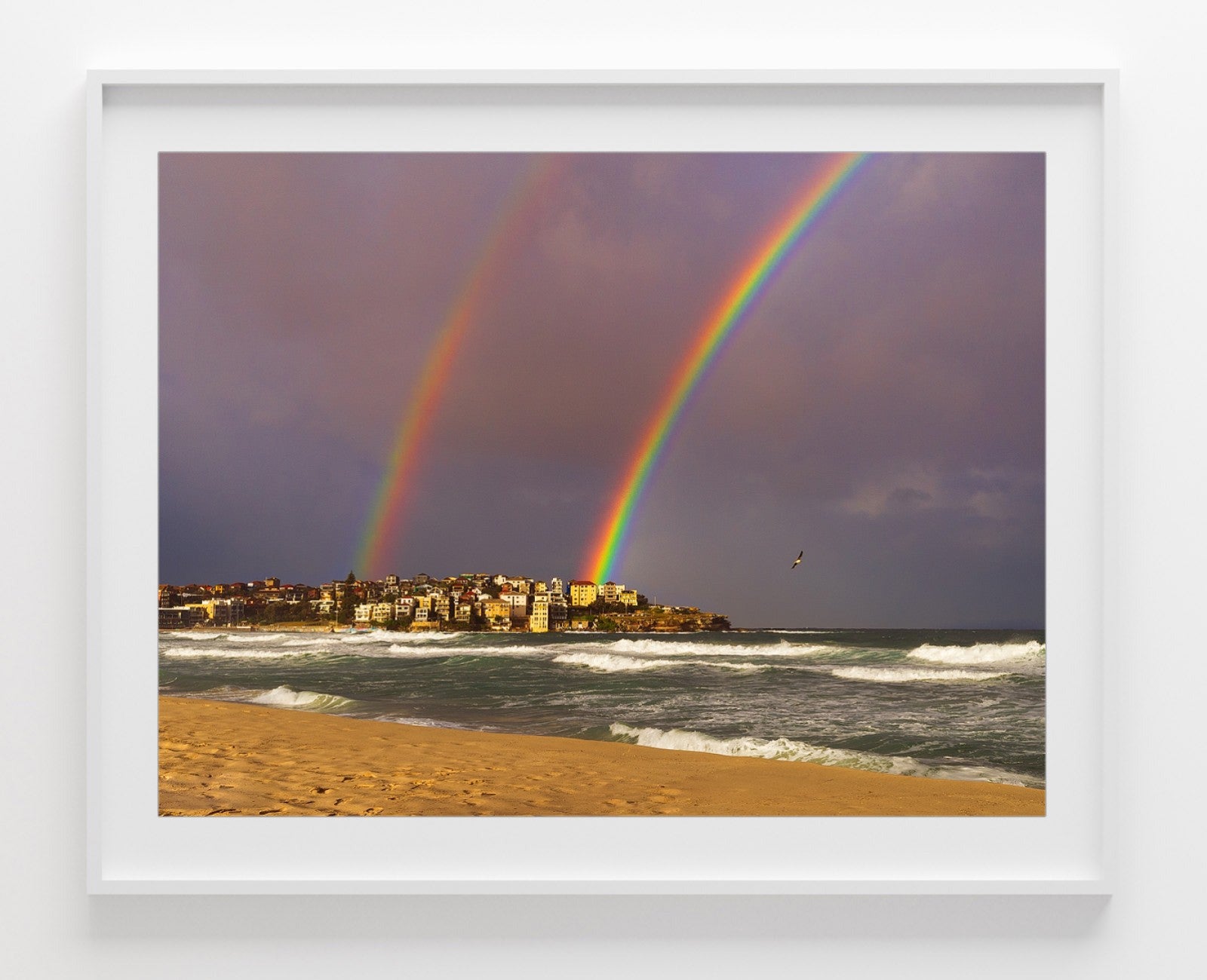 Flying By, Bondi Beach print