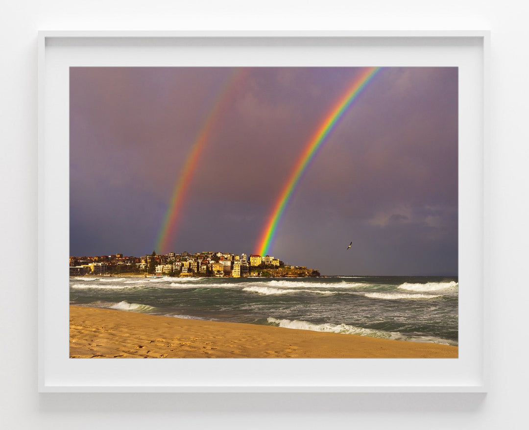 Flying By, Bondi Beach print