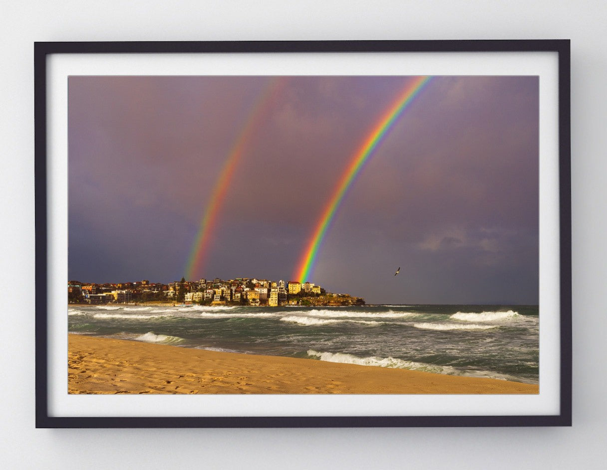 Flying By, Bondi Beach print