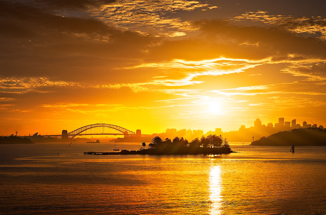 Golden Harbour, Sydney Harbour