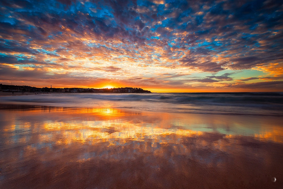 Peeking, Bondi Beach Beach print