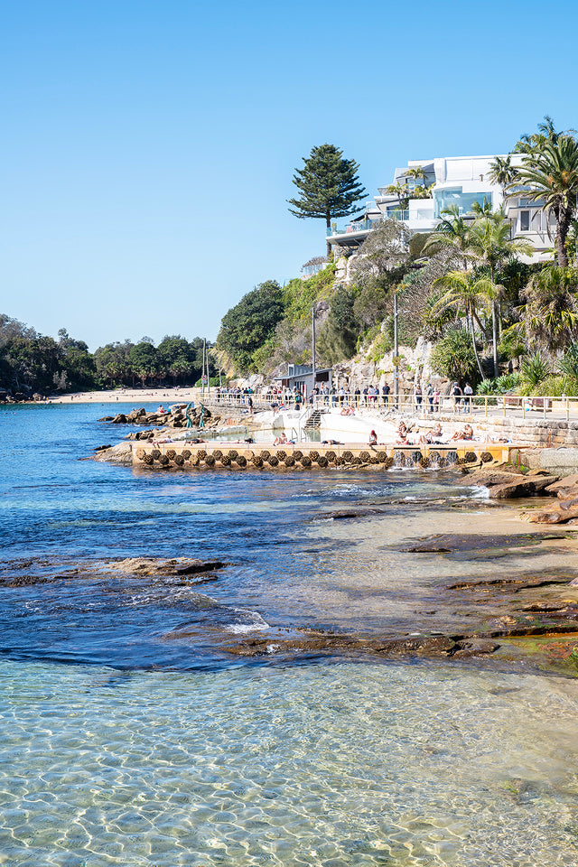 Pine, Manly