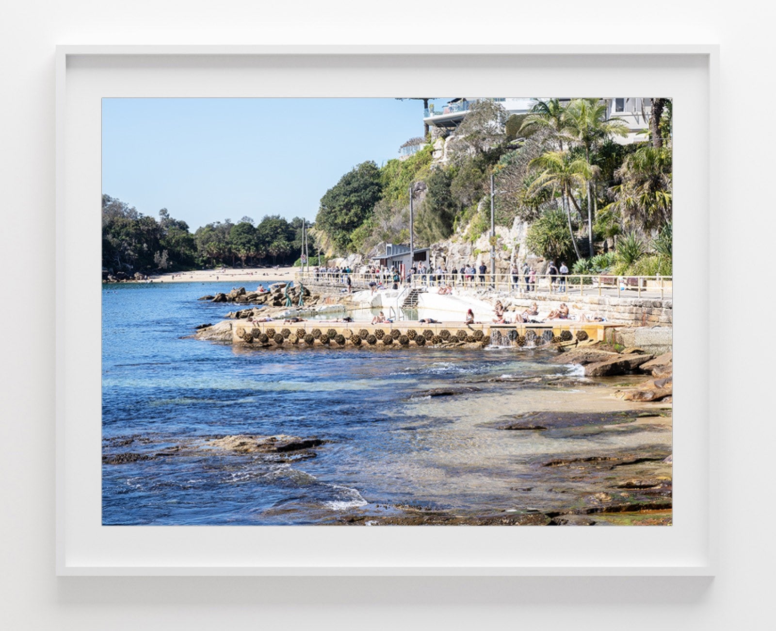 Pine, Manly print