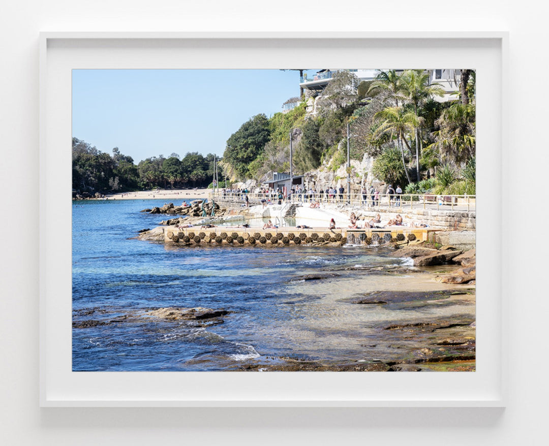 Pine, Manly print