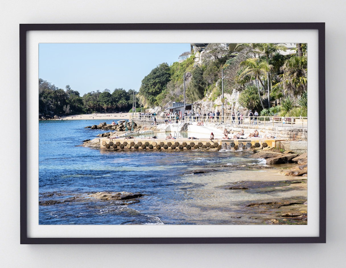 Pine, Manly print
