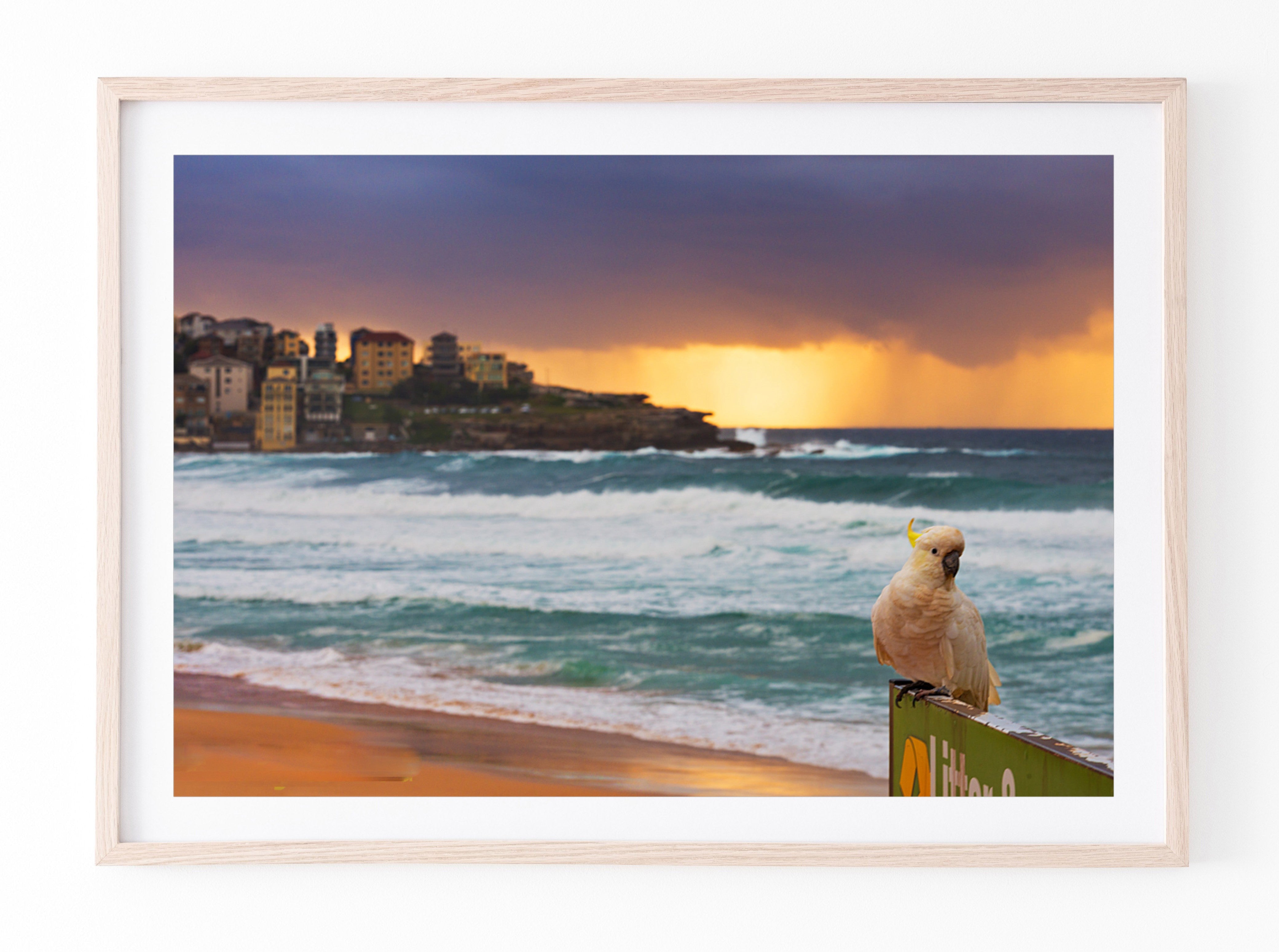 Pose, Bondi Beach print