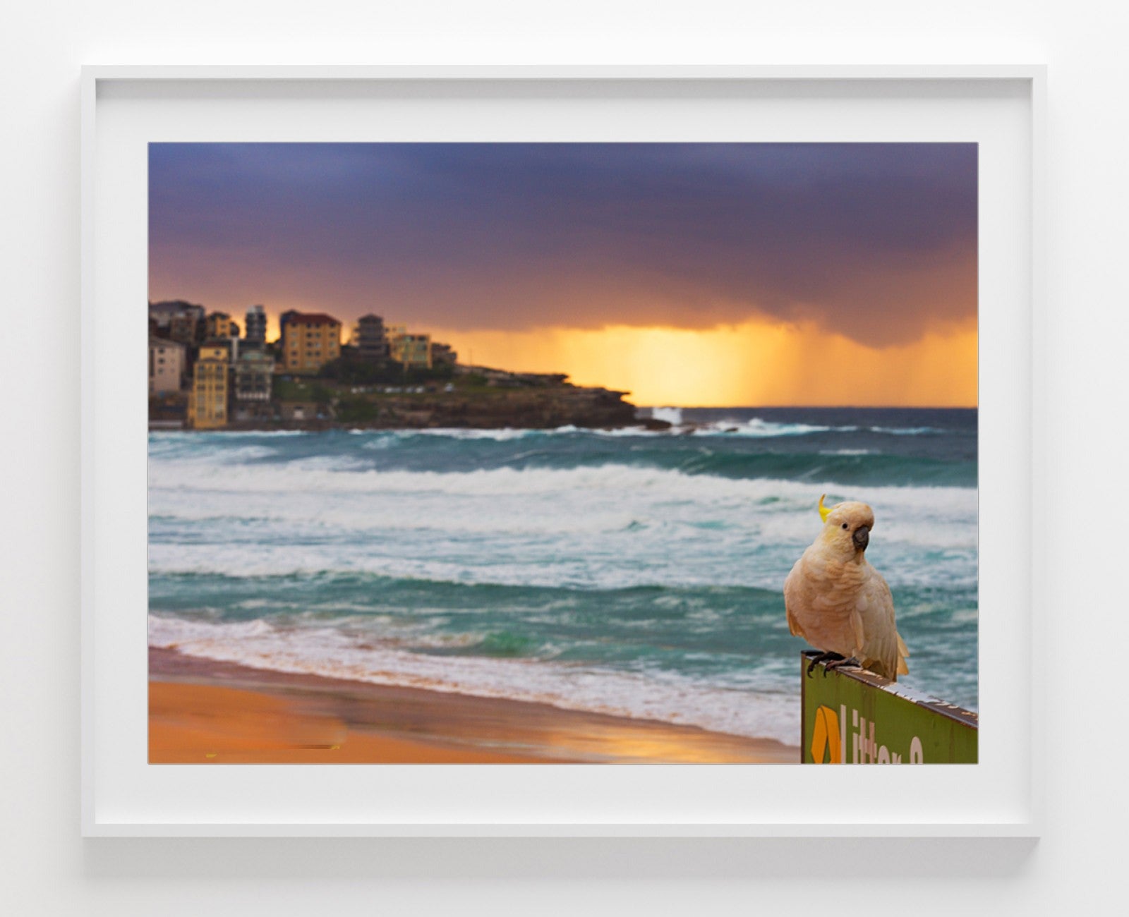 Pose, Bondi Beach print