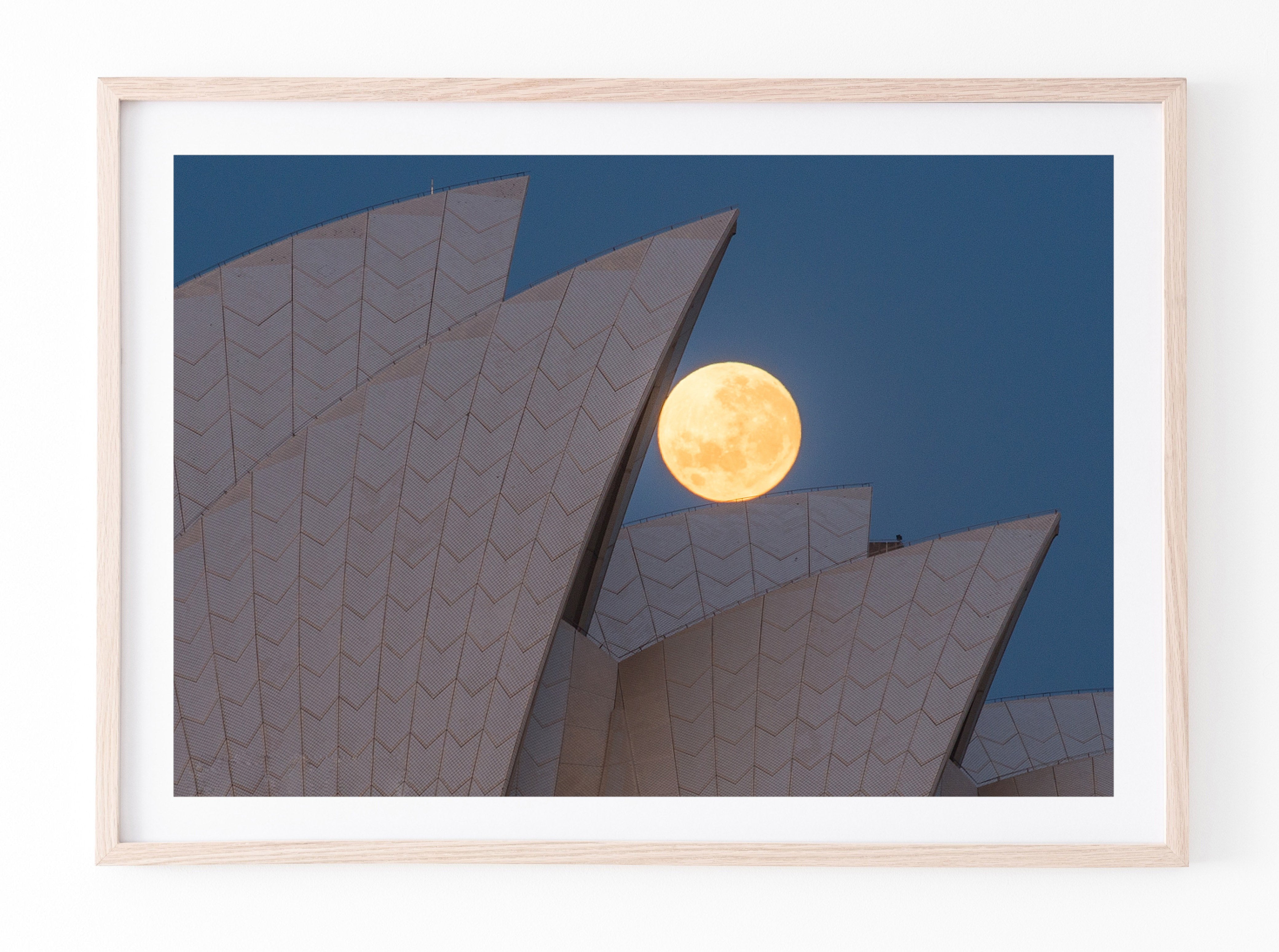Positioning, Sydney Harbour print