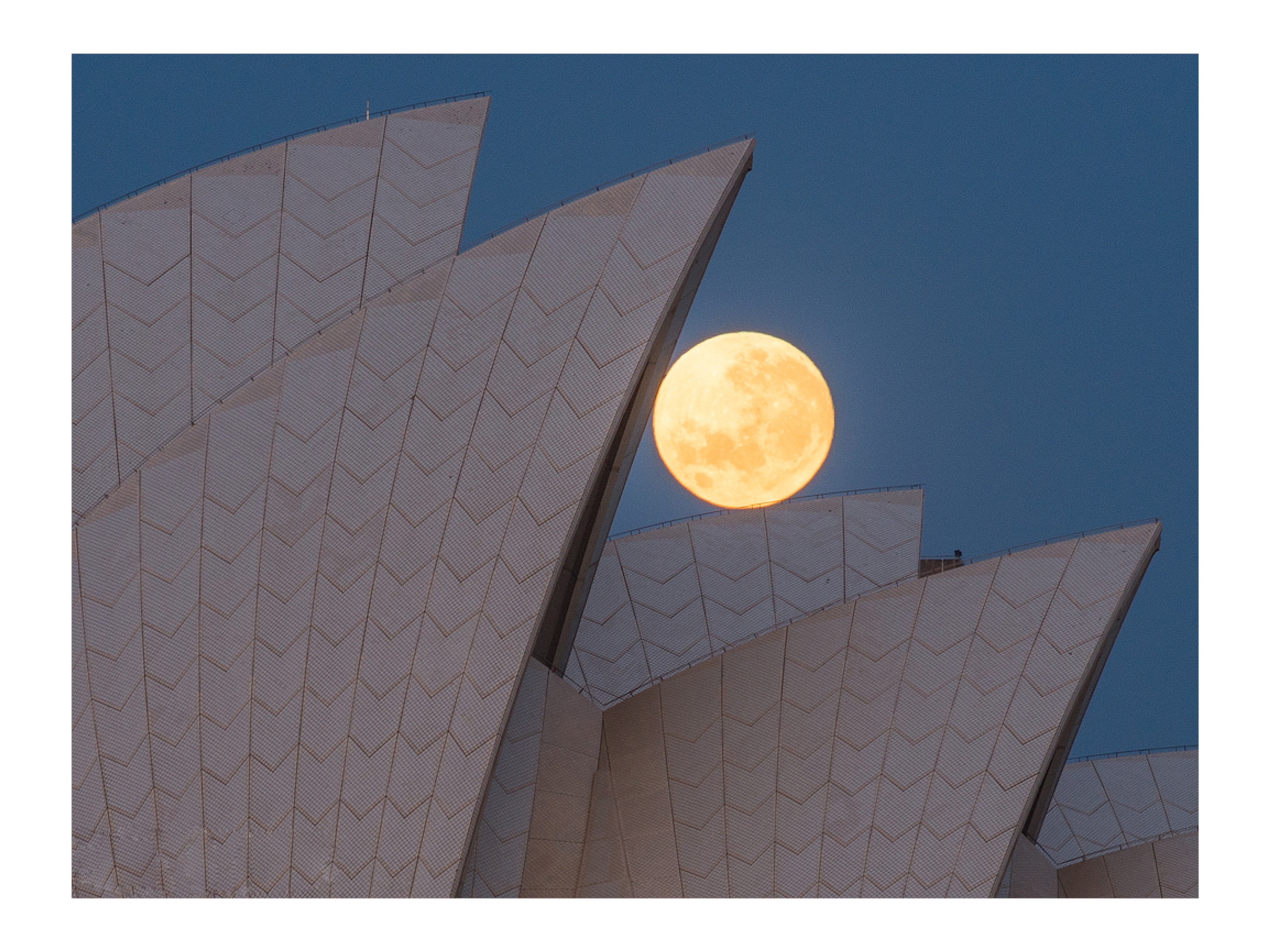 Positioning, Sydney Harbour print