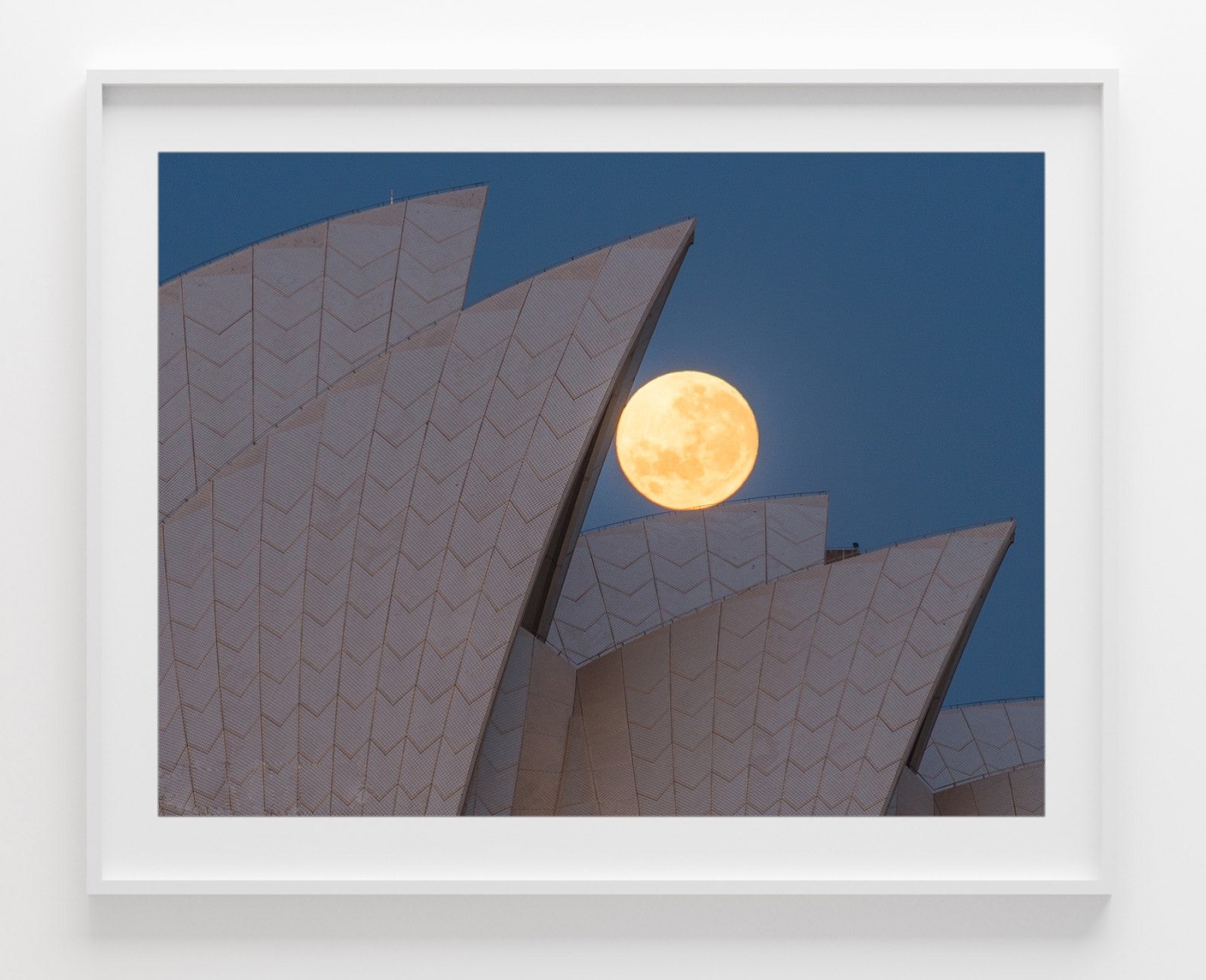 Positioning, Sydney Harbour print