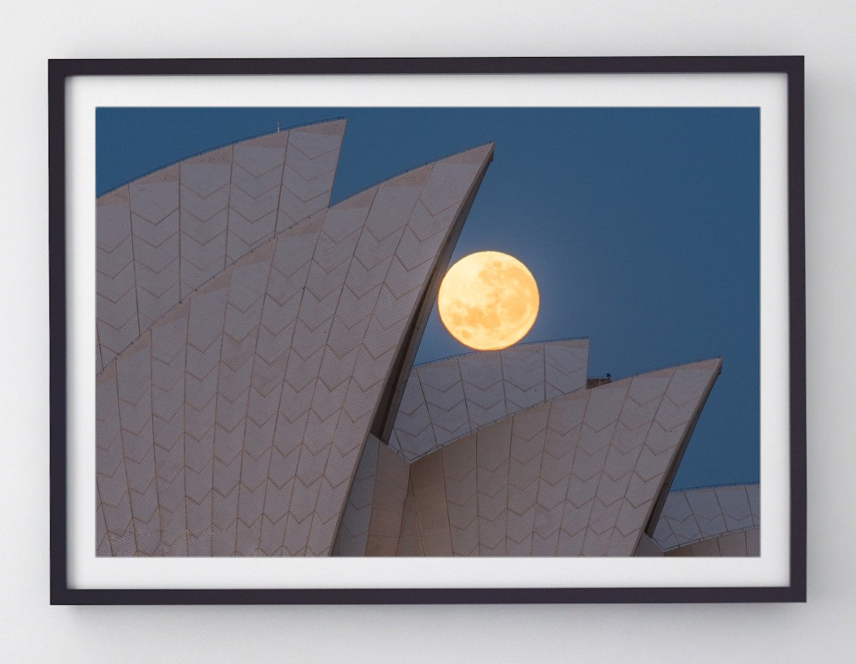 Positioning, Sydney Harbour print