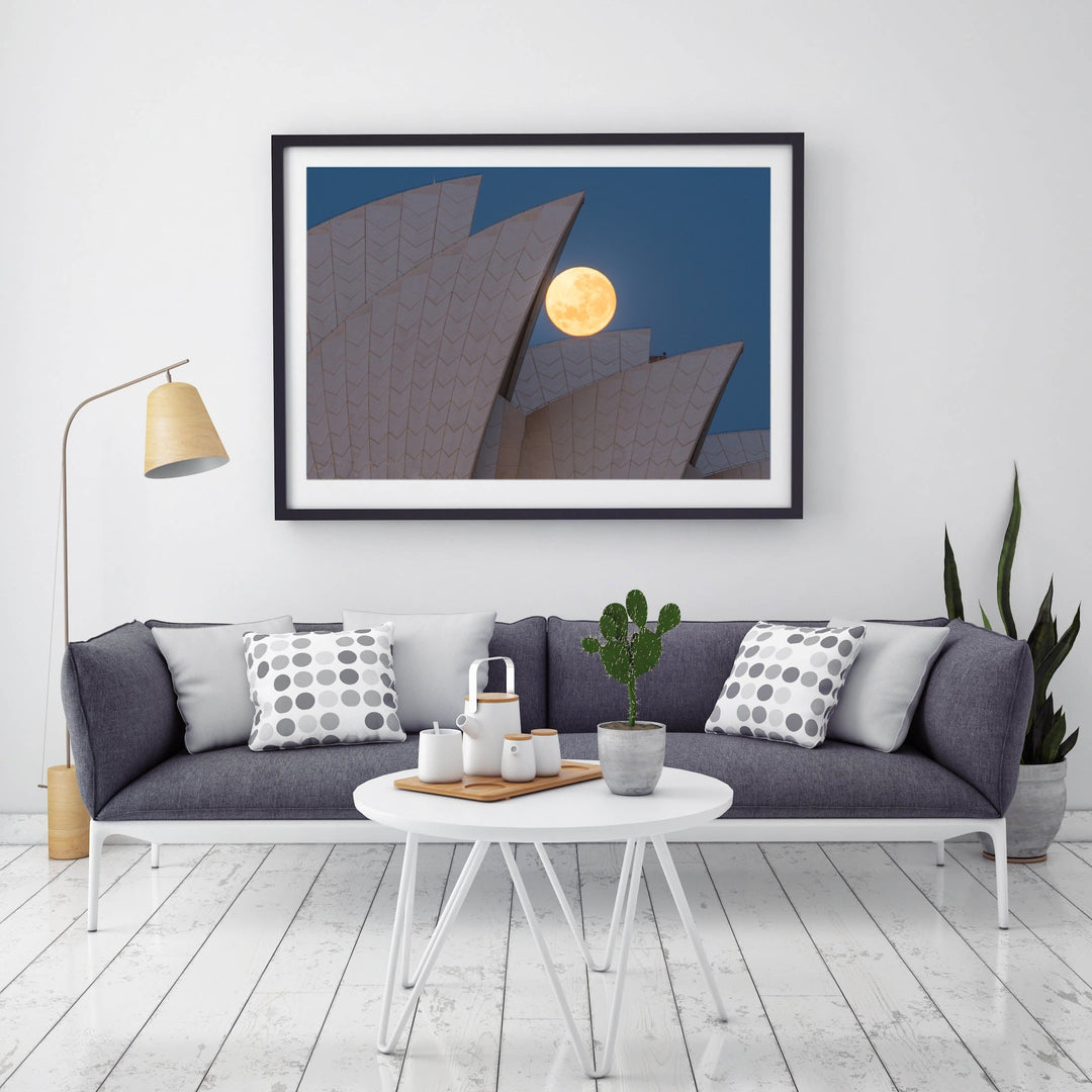 Positioning, Sydney Harbour print