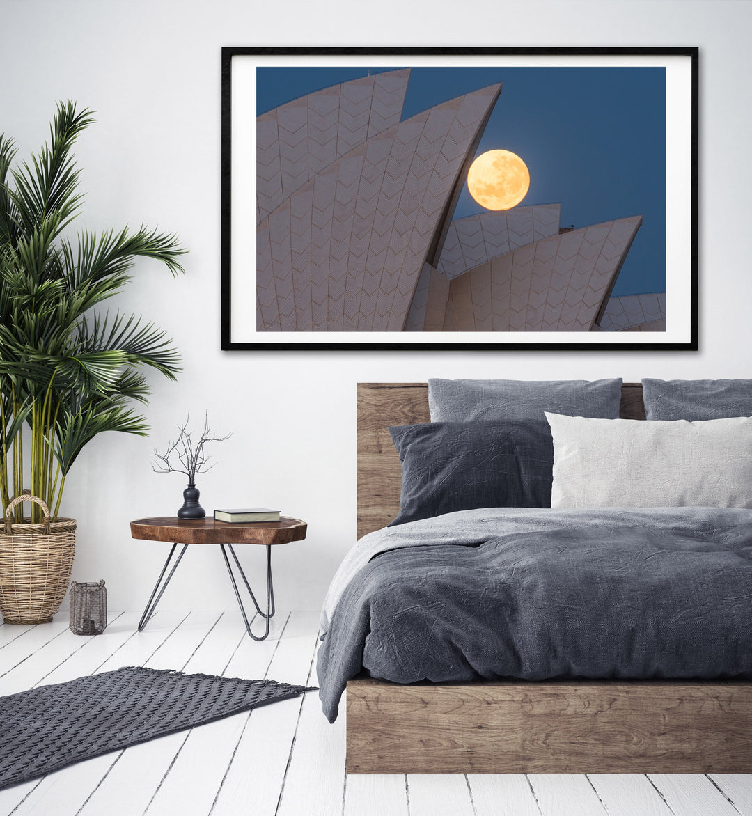 Positioning, Sydney Harbour print