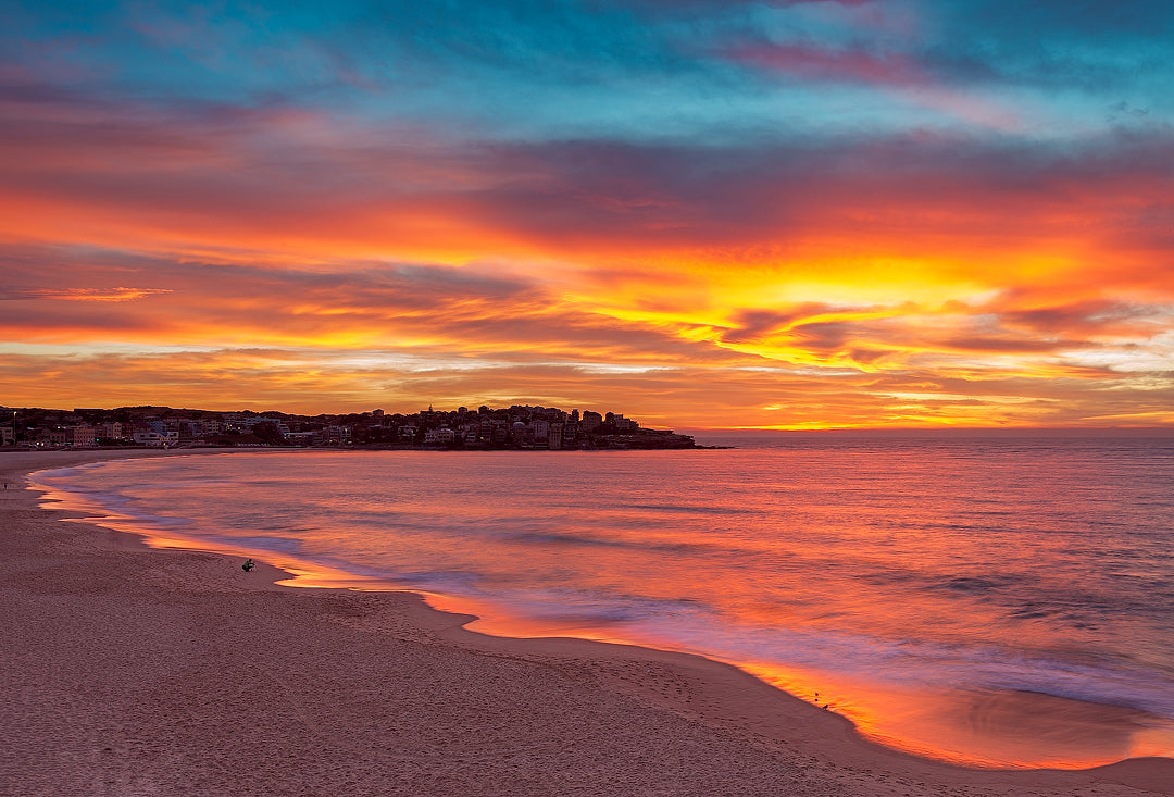 Pretty, Bondi Beach Beach print