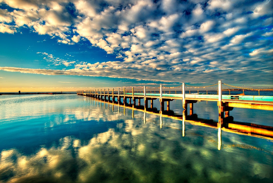 Puffed Up, Narrabeen Rock Pool print