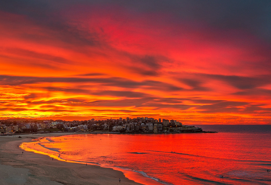 Red Velvet, Bondi Beach Beach print