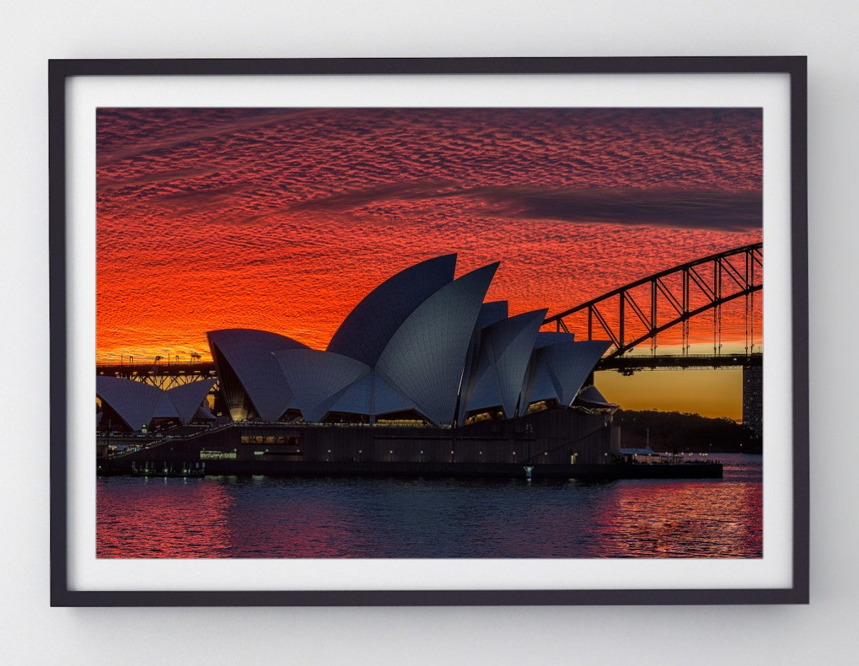 Simply Red, Sydney Harbour print