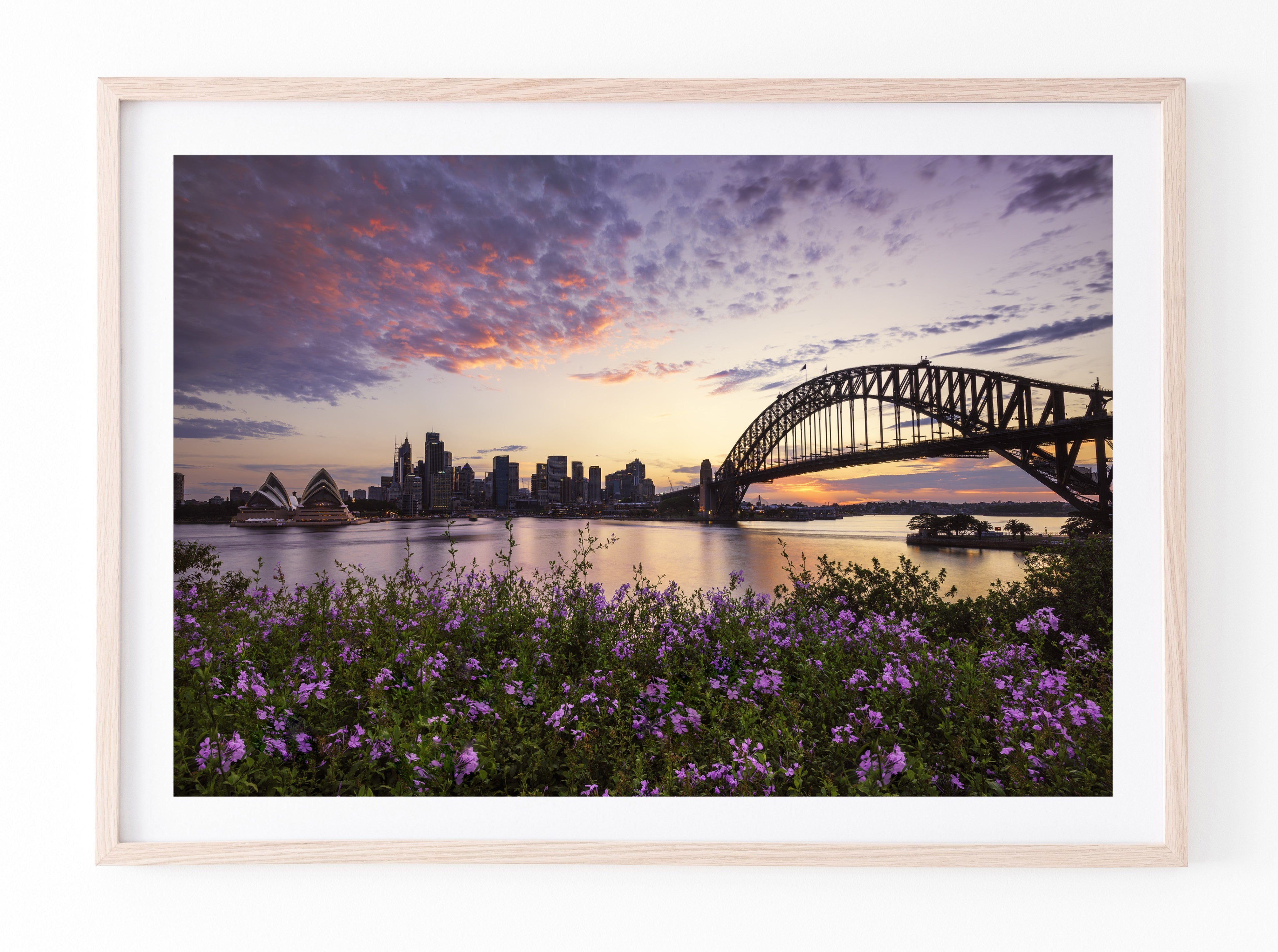 Flowers, Sydney Harbour