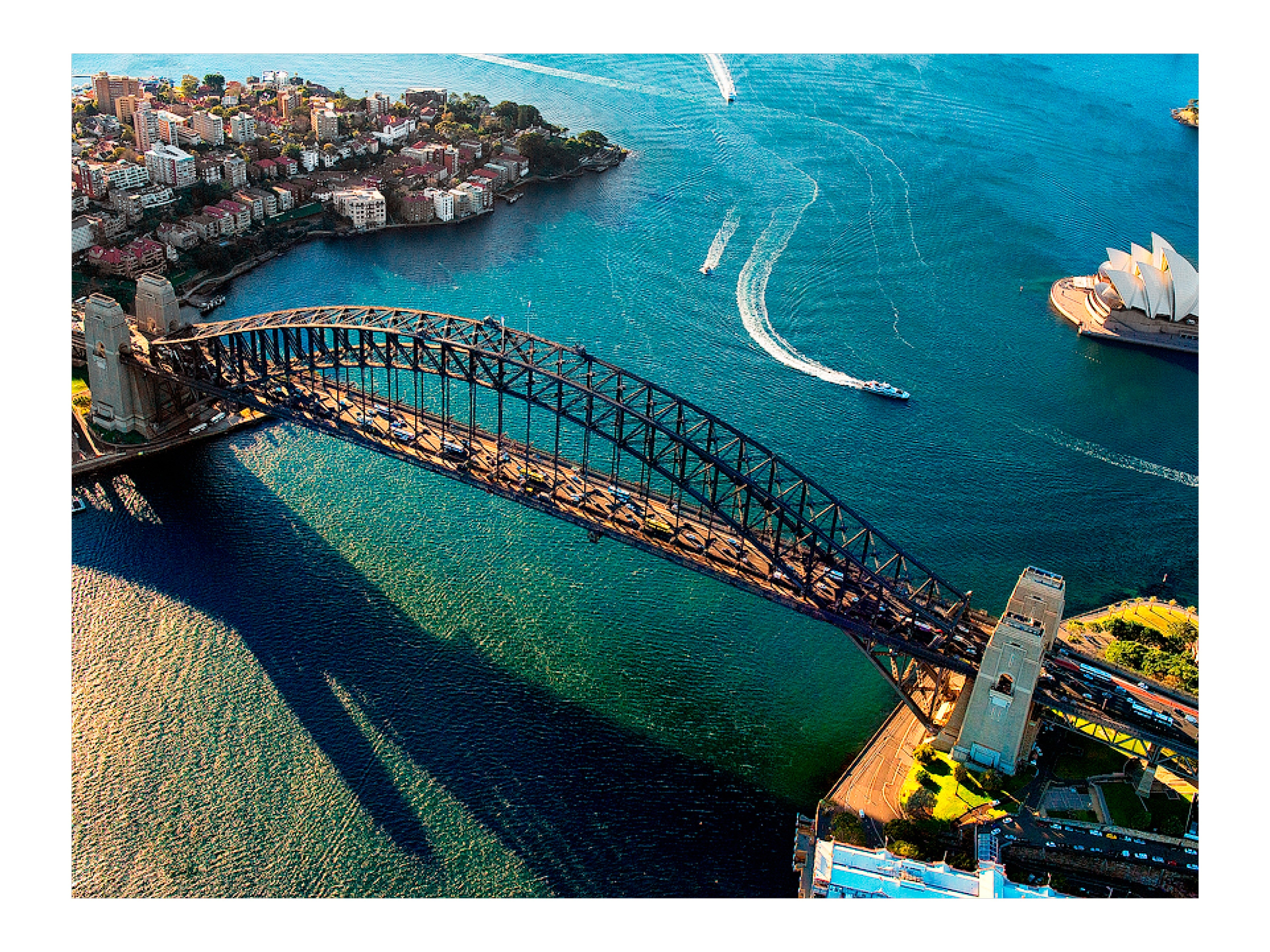 Taking Flight, Sydney Harbour print