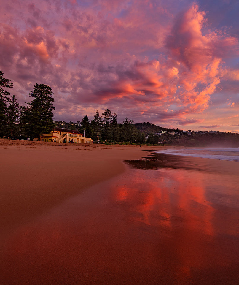 The Pines, Newport