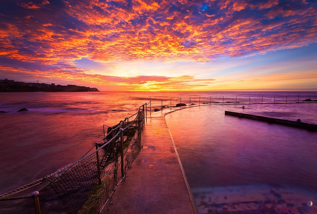 Winter Dip, Bronte Baths print