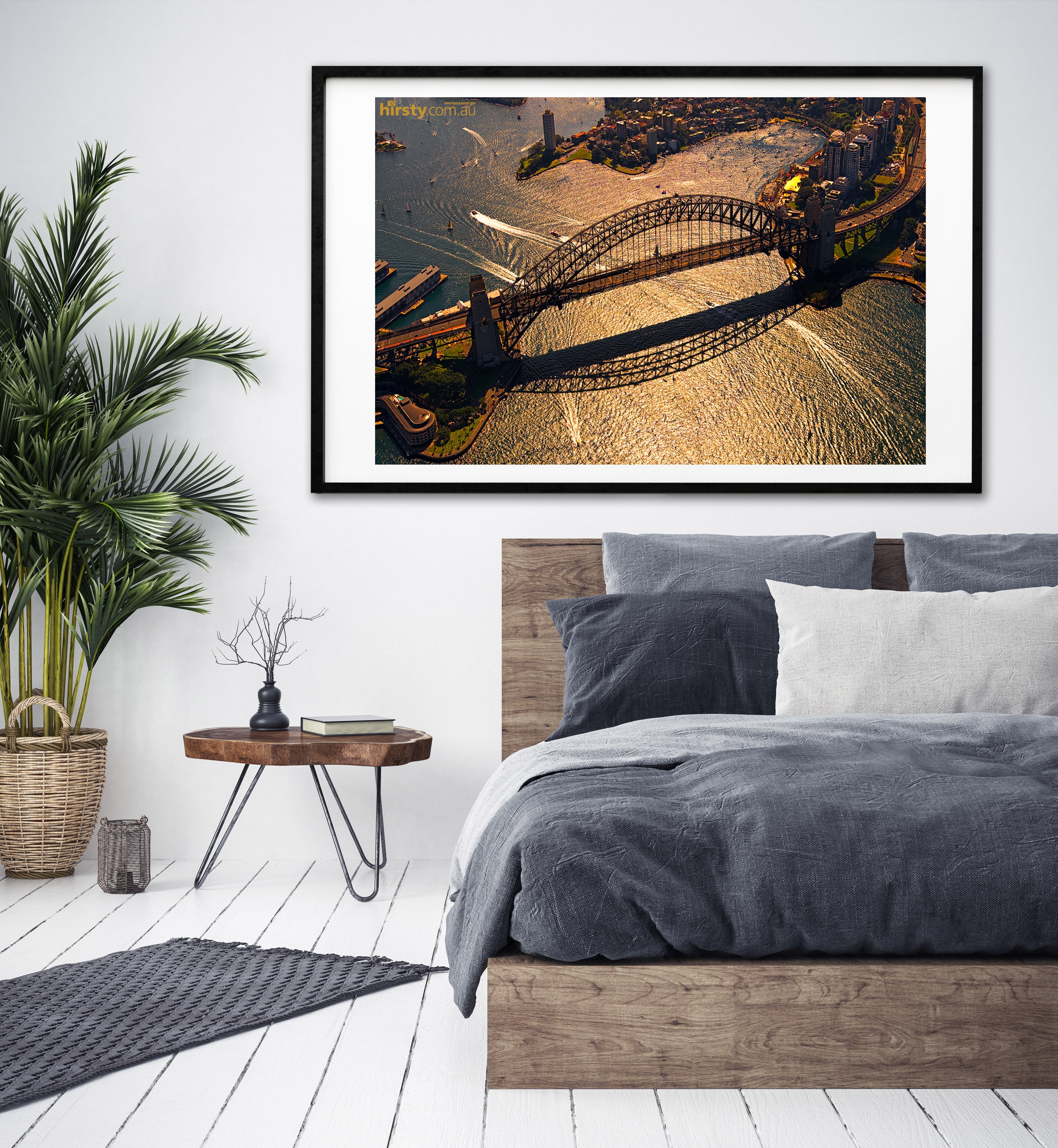 Action, Sydney Harbour