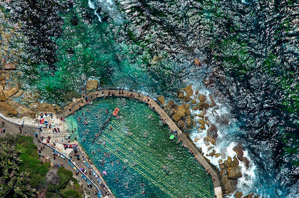 Ants, Bronte Baths print