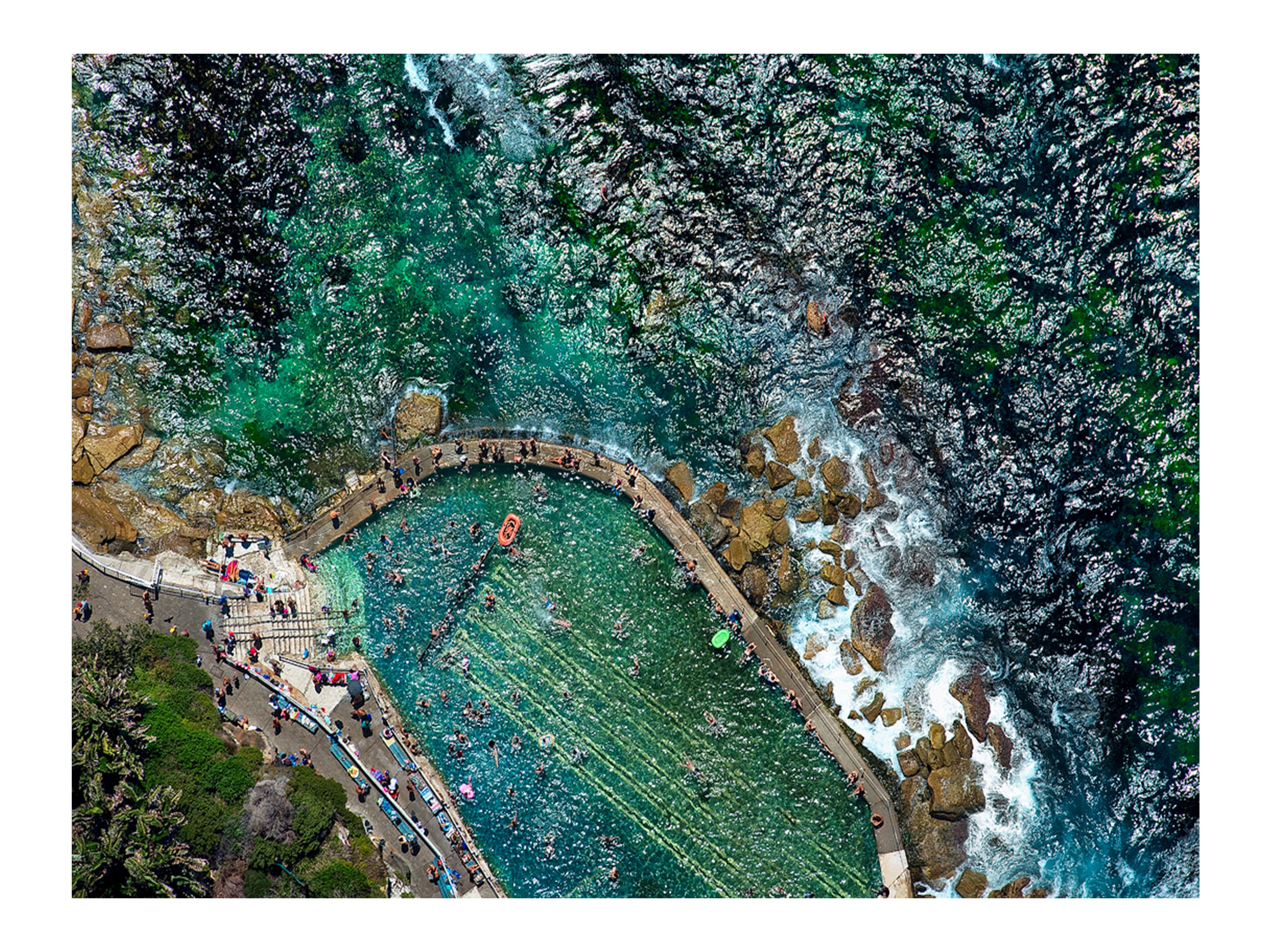 Ants, Bronte Baths