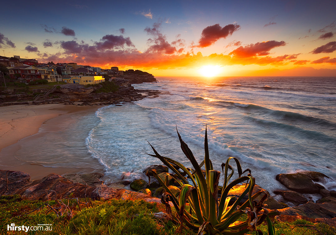 Basking, Tamarama, fine art photograph by Richard Hirst