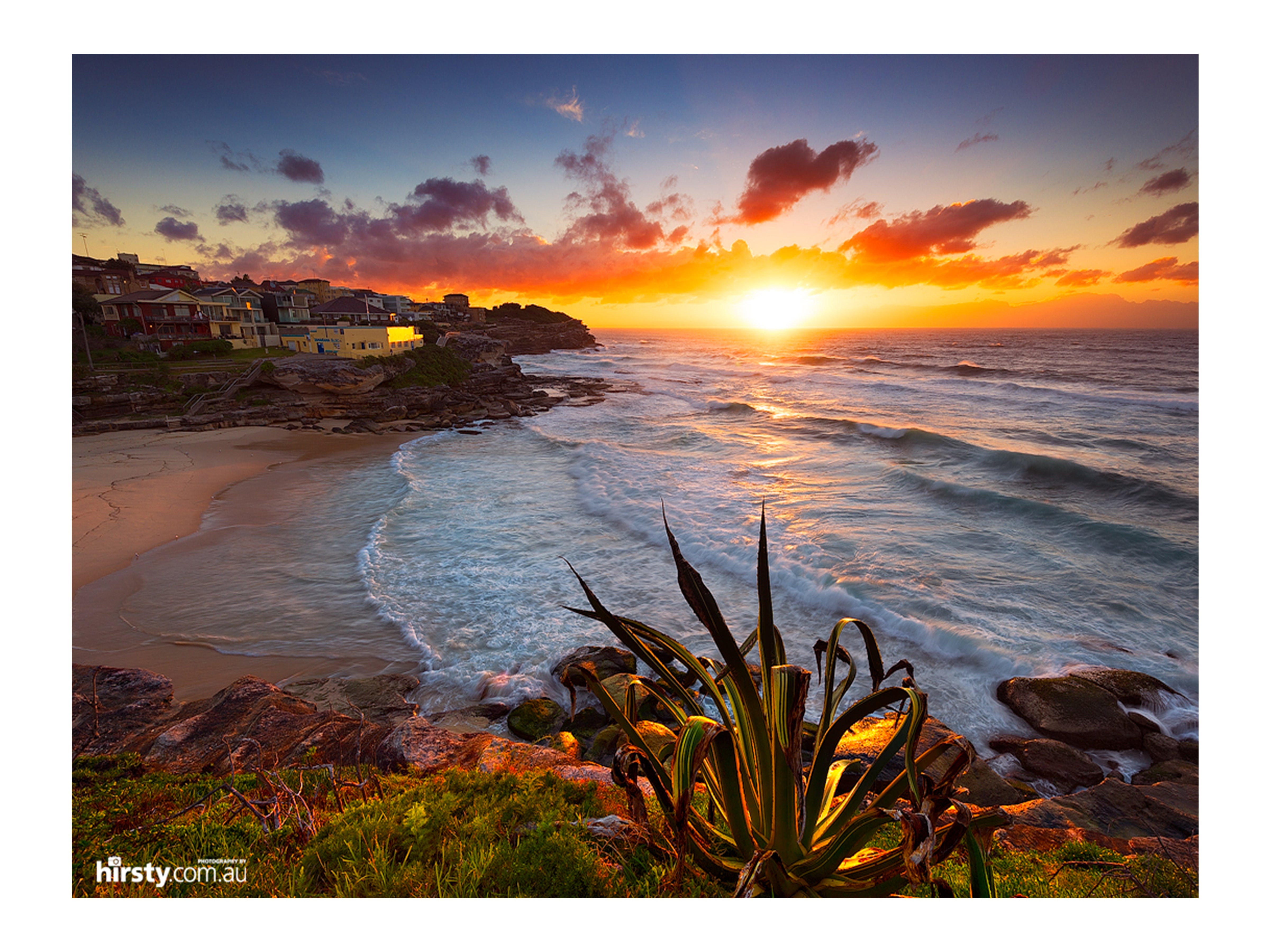 Basking, Tamarama