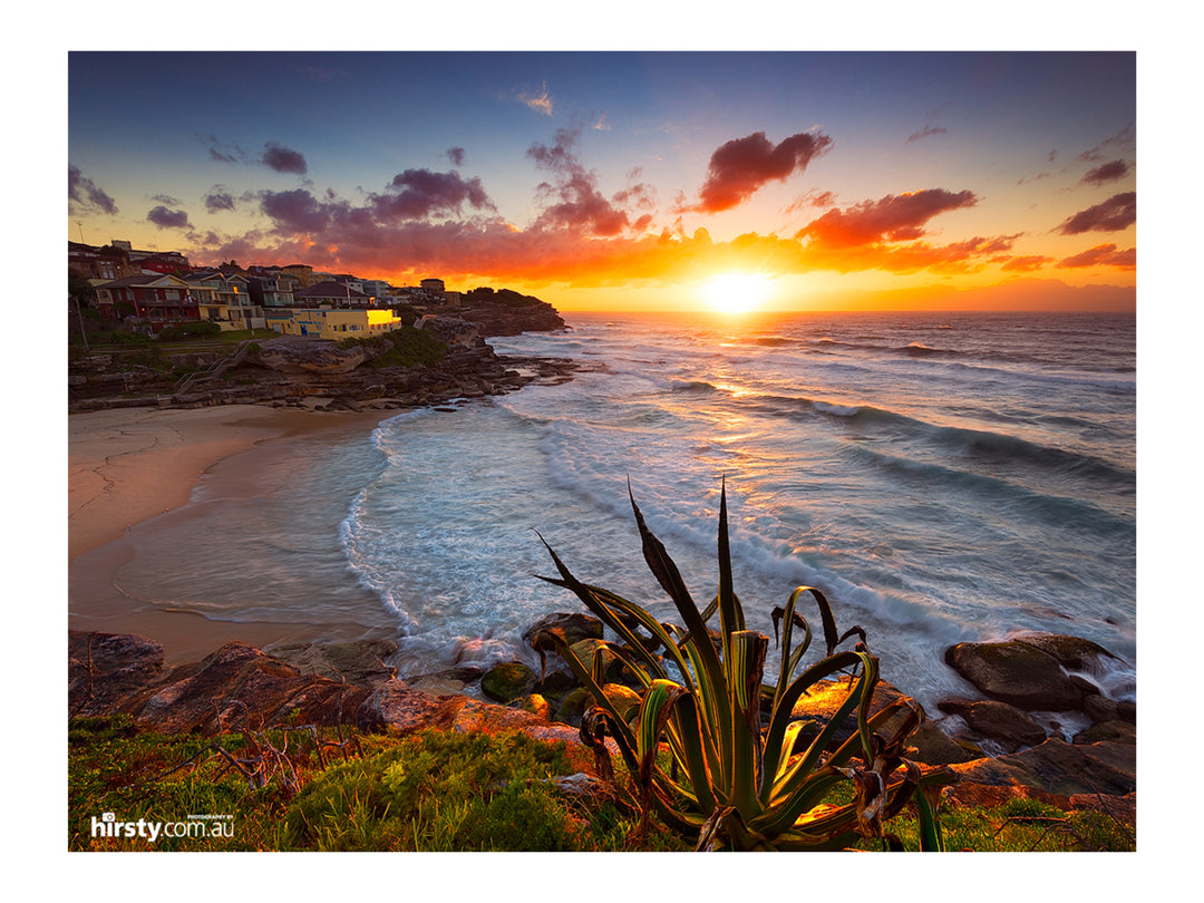 Basking, Tamarama, fine art photograph by Richard Hirst